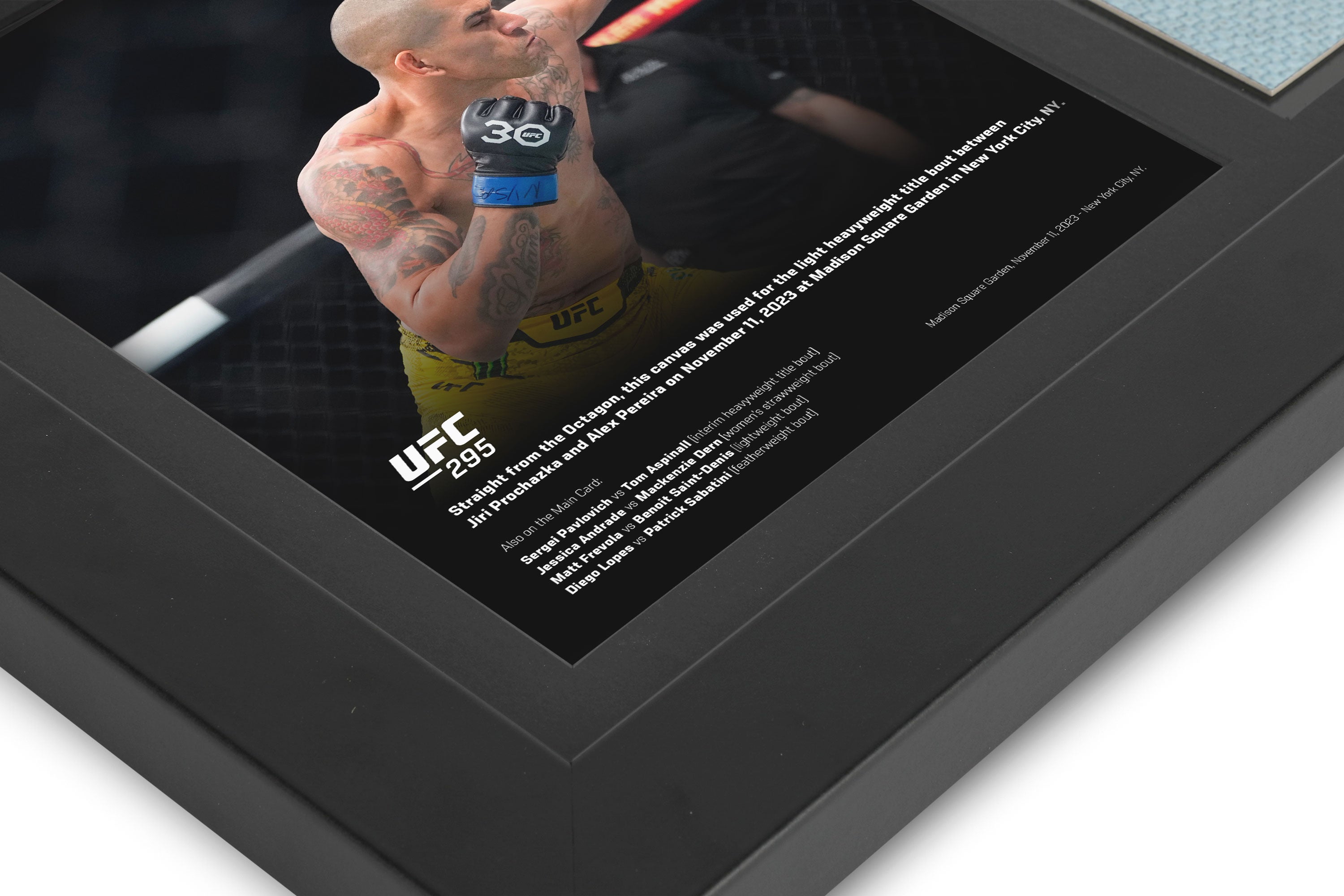 UFC 295: Procházka vs Pereira Canvas & Photo