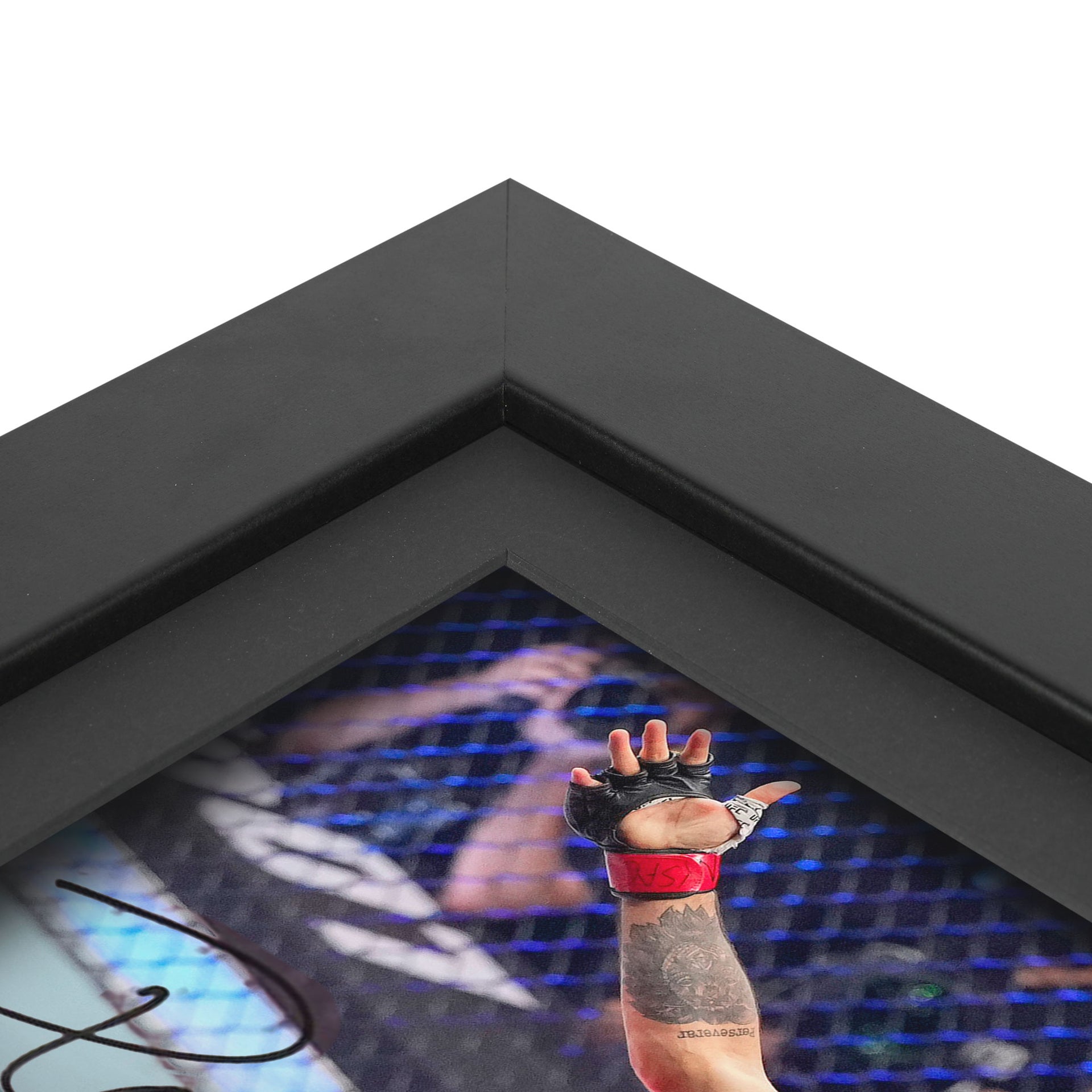 Diego Lopes Canvas & Signed Photo UFC 295: Procházka vs Pereira
