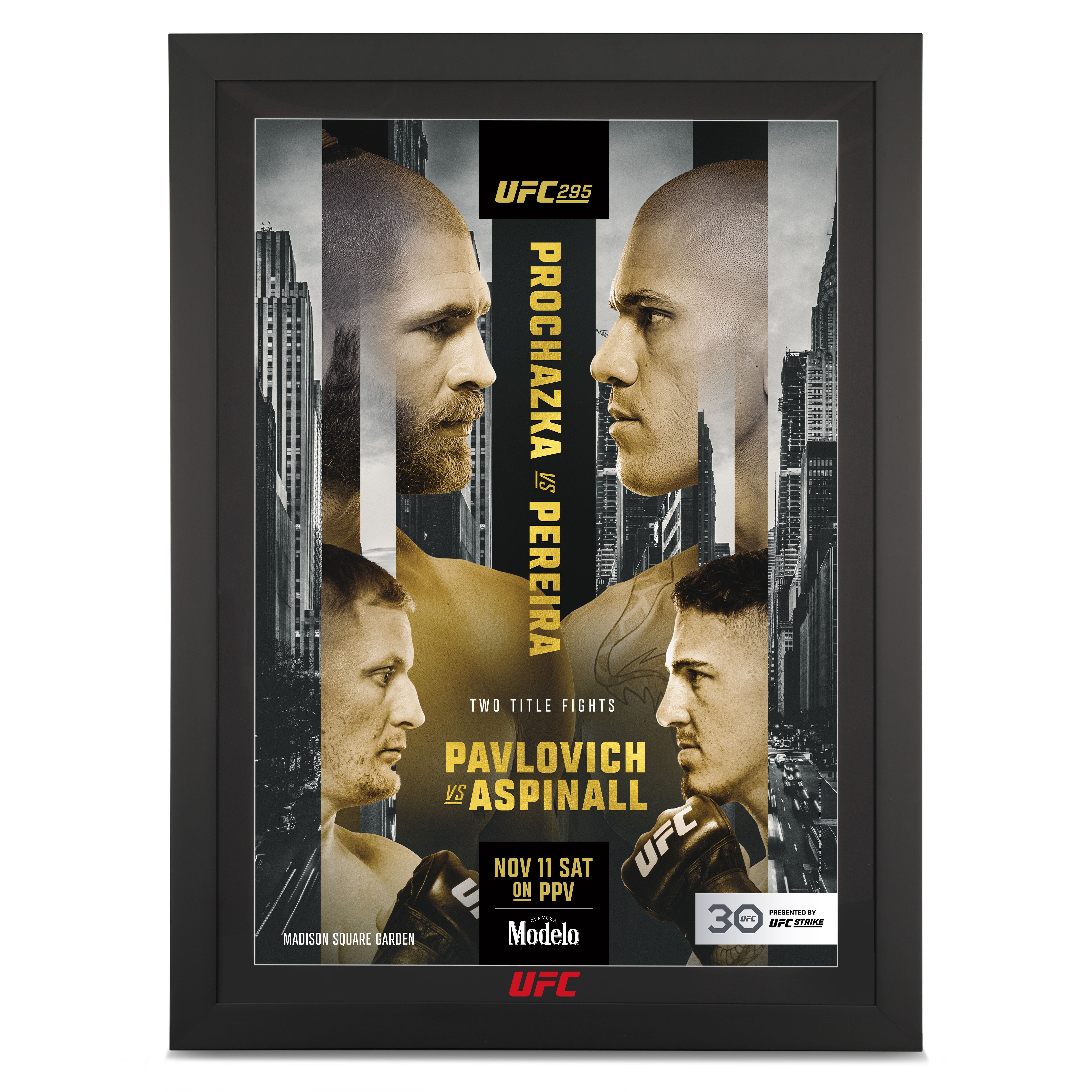 UFC 295: Prochazka vs Pereira Autographed Event Poster