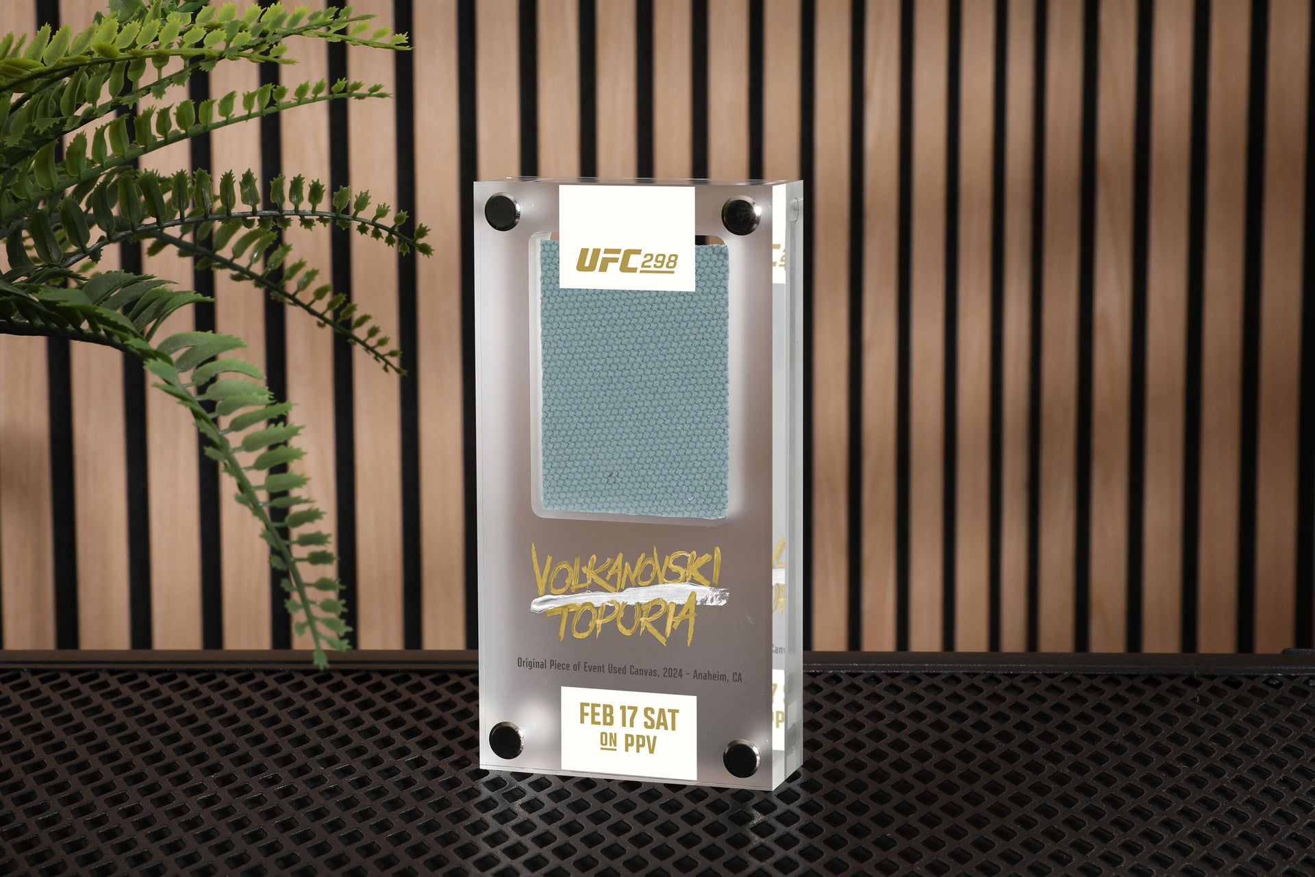 UFC 298: Volkanovski vs Topuria Canvas in Acrylic