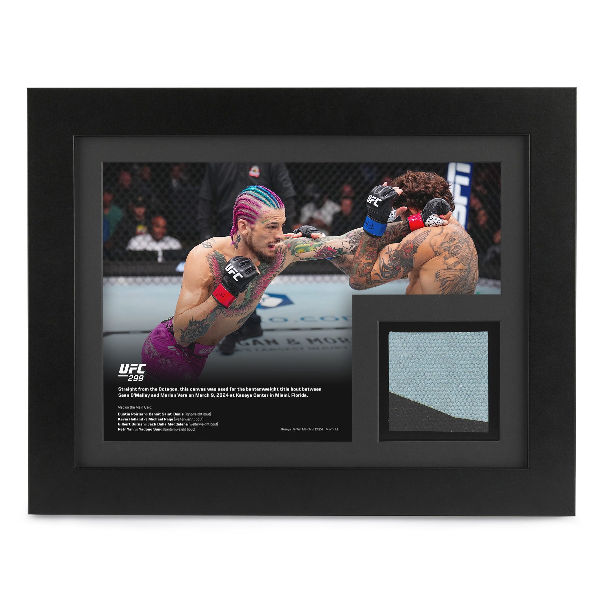 UFC 299: O'Malley vs Vera 2 Canvas & Photo