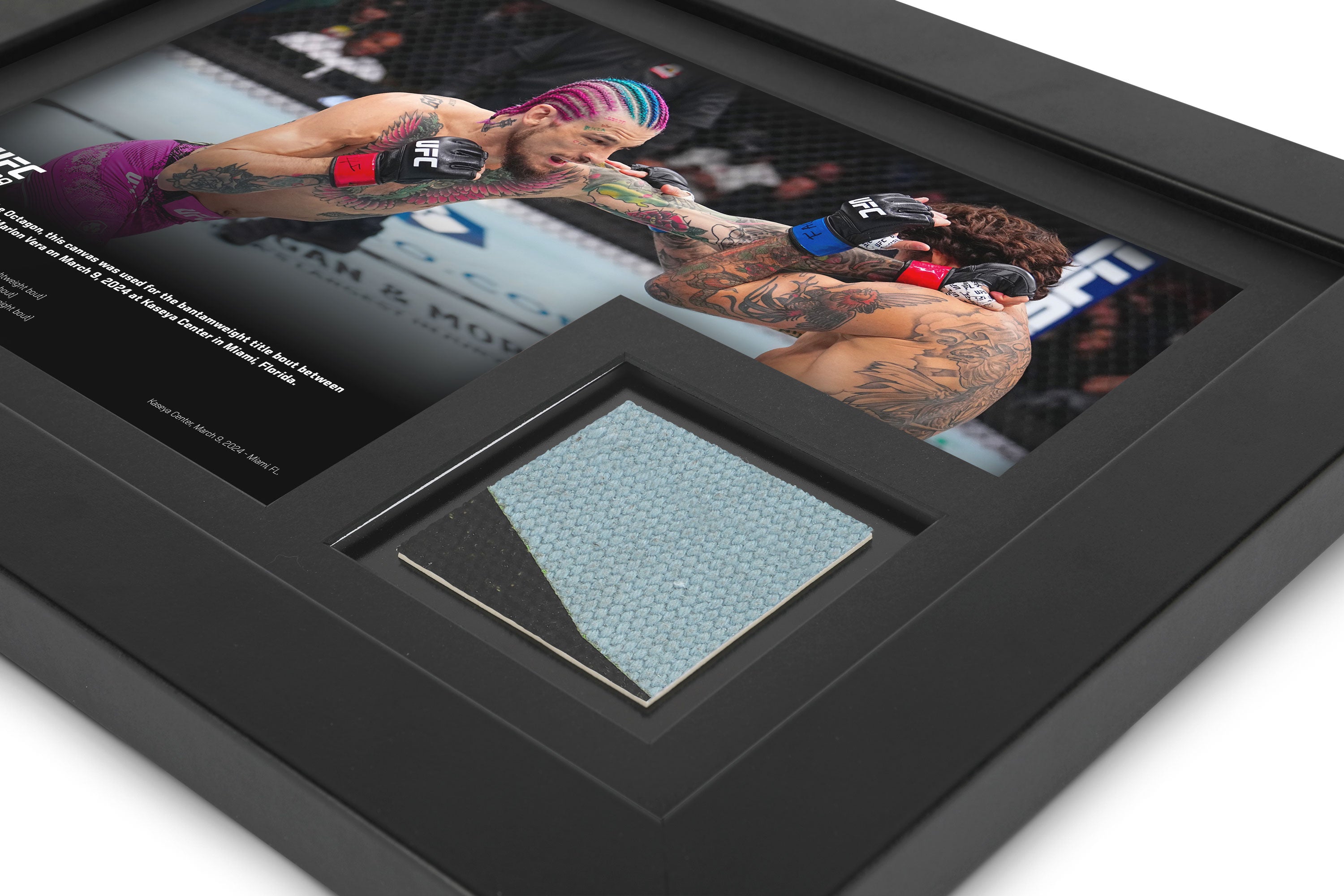 UFC 299: O'Malley vs Vera 2 Canvas & Photo