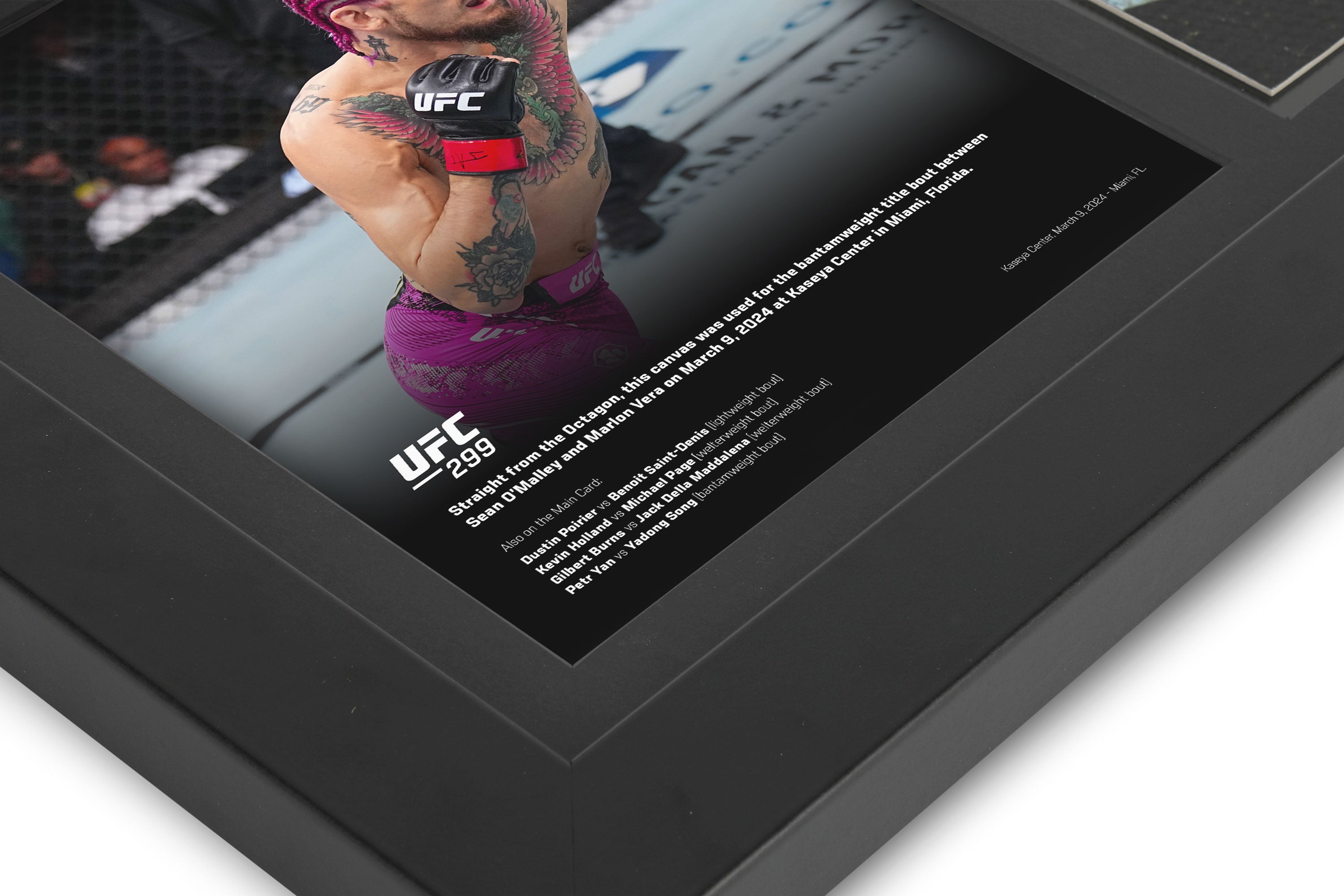 UFC 299: O'Malley vs Vera 2 Canvas & Photo