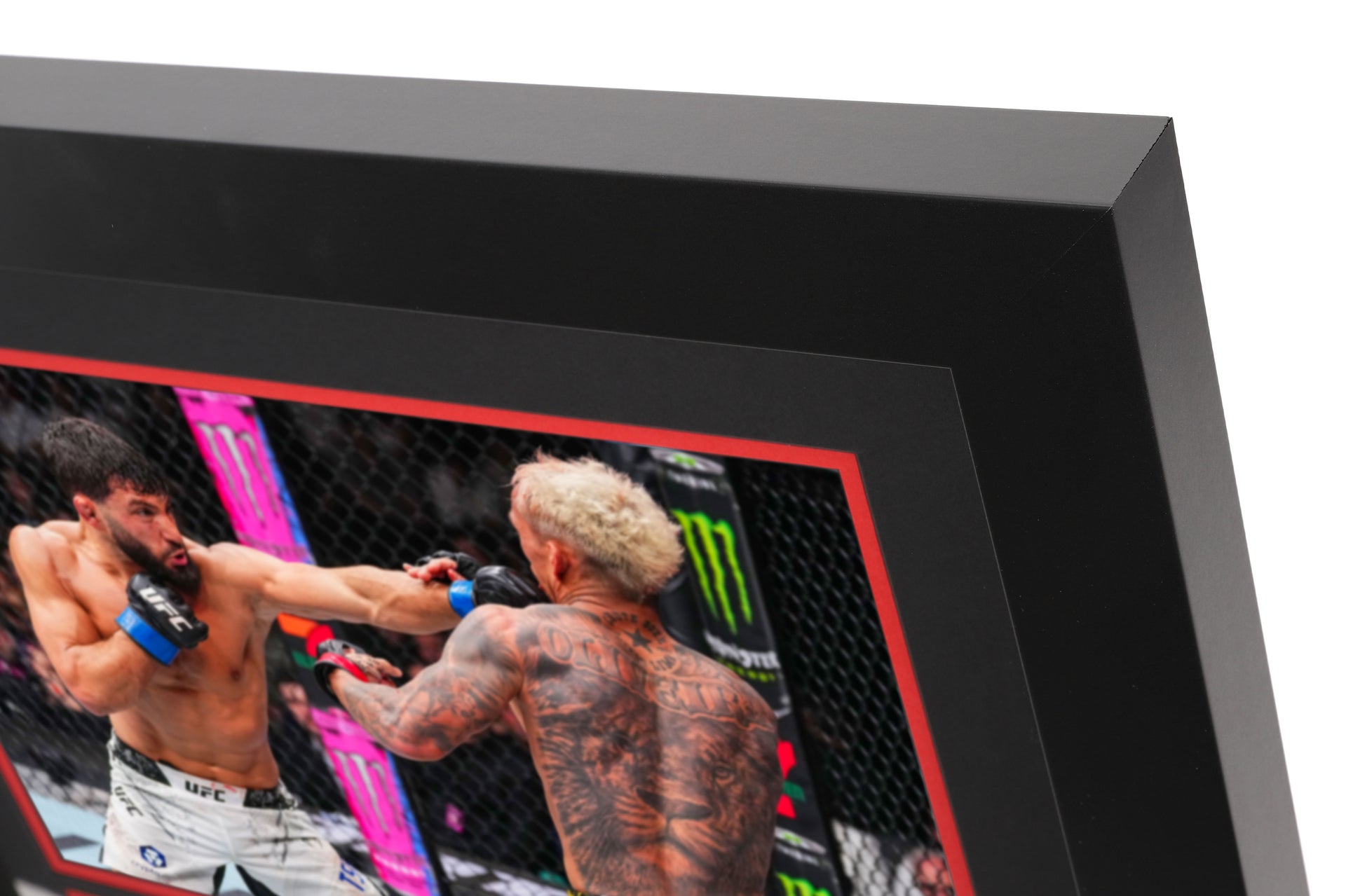 UFC 300: Oliveira vs Tsarukyan Canvas & Photo