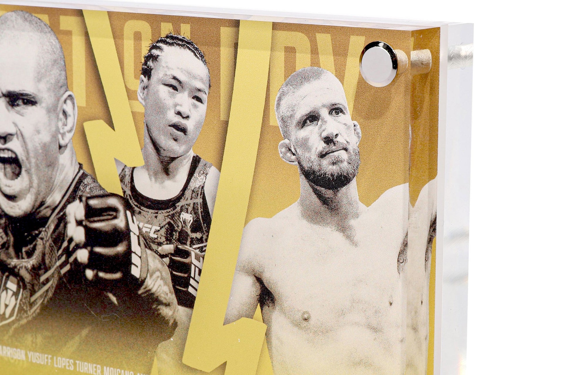 UFC 300: Pereira vs Hill Limited Edition Canvas in Acrylic