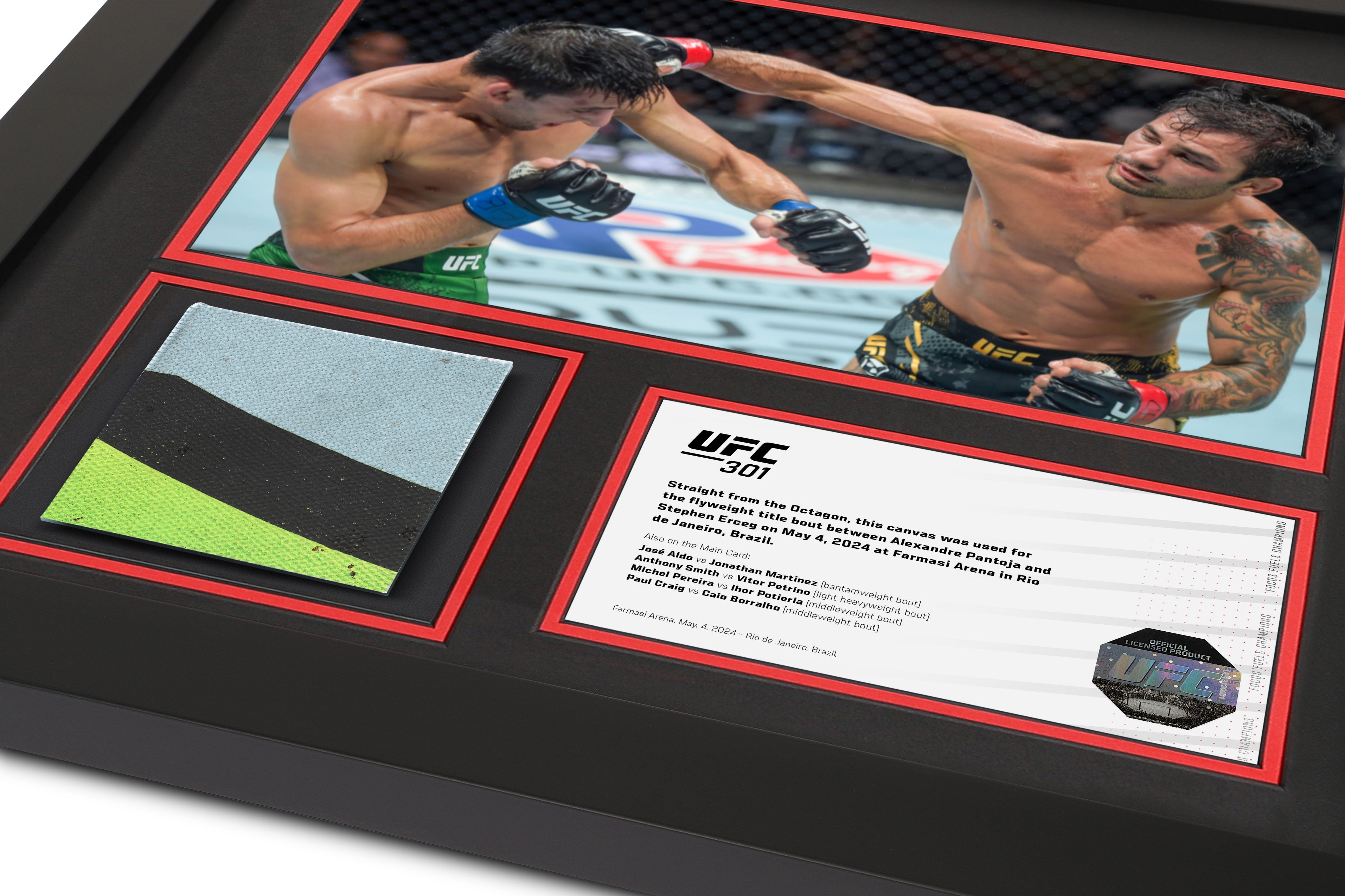 UFC 301: Pantoja vs Erceg  Canvas & Photo - Generic