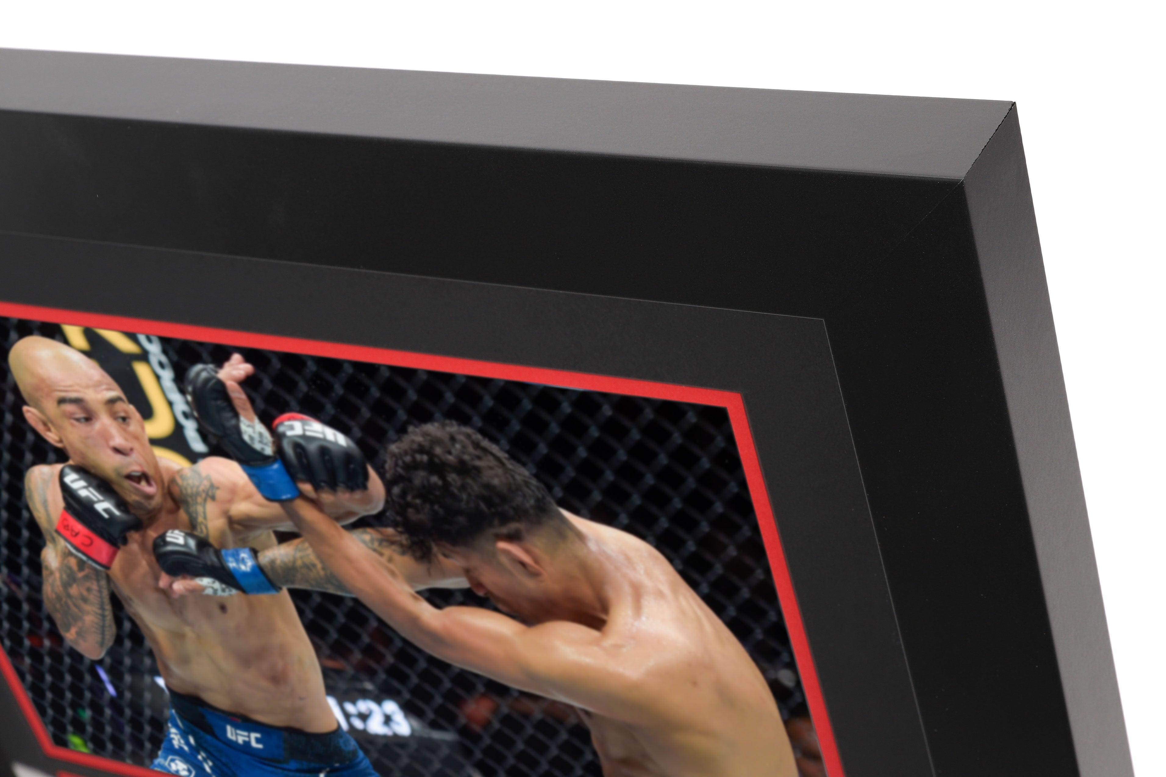 UFC 301: Martinez vs Aldo Canvas & Photo
