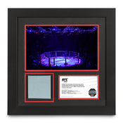 UFC 302: Makhachev vs Poirier Canvas & Photo - Octagon