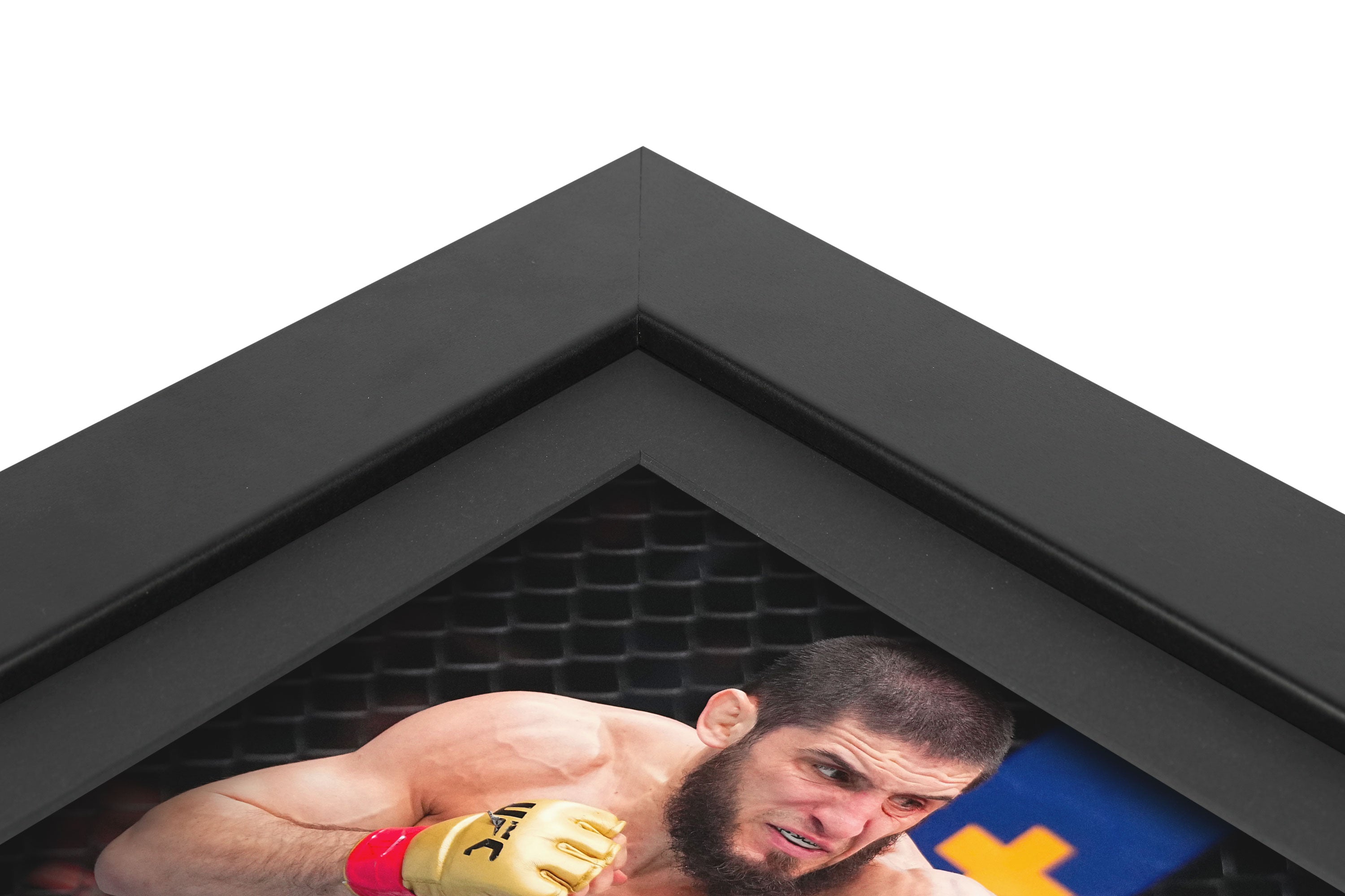 UFC 302: Makhachev vs Poirier Canvas & Photo