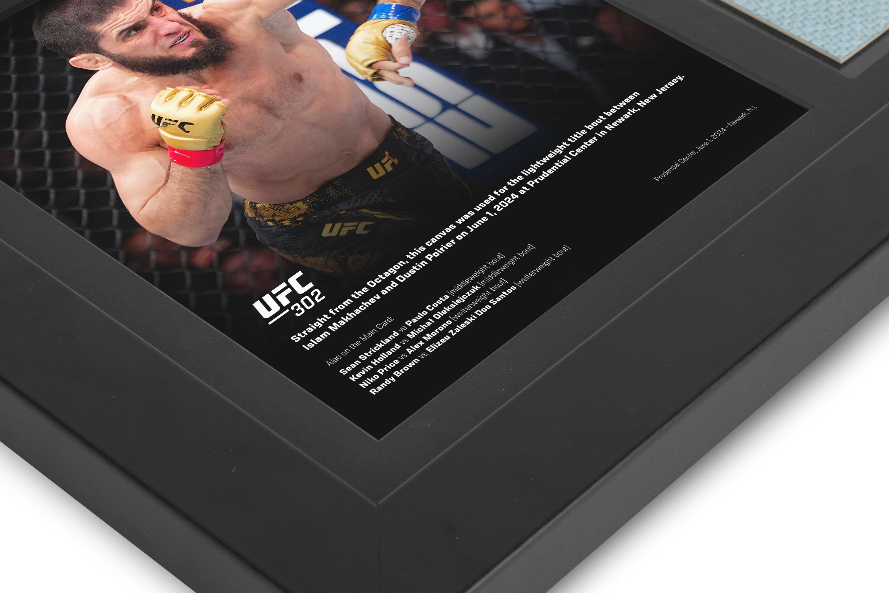 UFC 302: Makhachev vs Poirier Canvas & Photo
