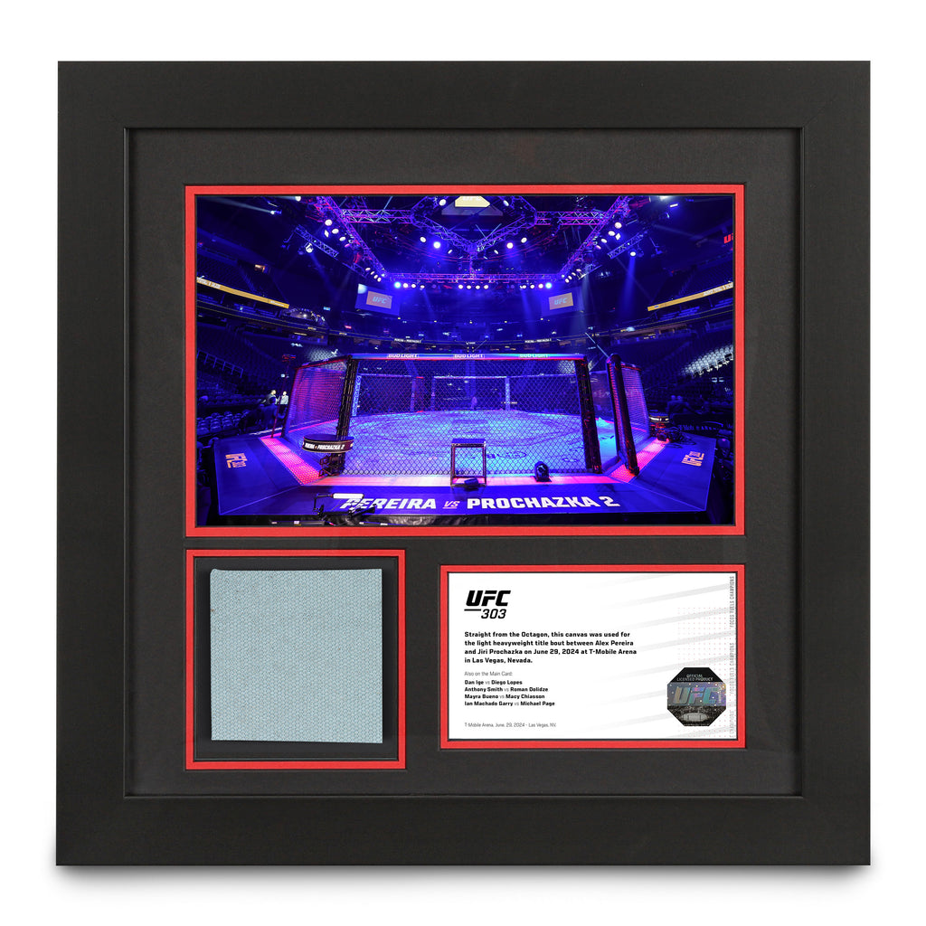 UFC 303: Pereira vs Prochazka Canvas & Photo - Octagon