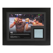UFC 308: Topuria vs Holloway Canvas & Photo