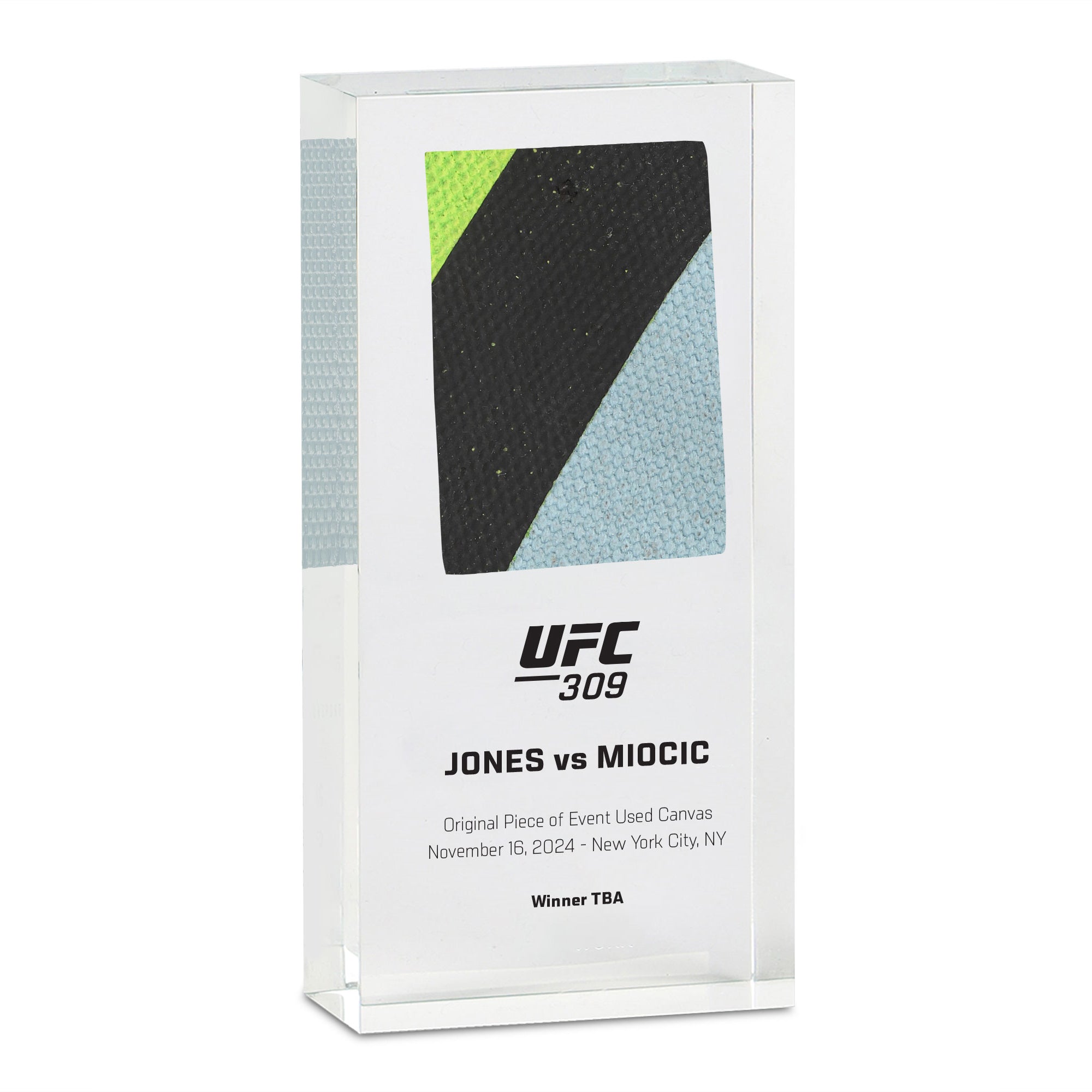 UFC 309: Jones vs Miocic Canvas in Acrylic