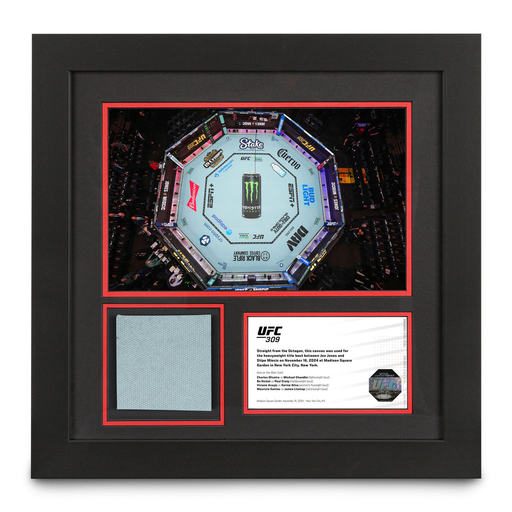 UFC 309: Jones vs Miocic Canvas & Photo – Octagon