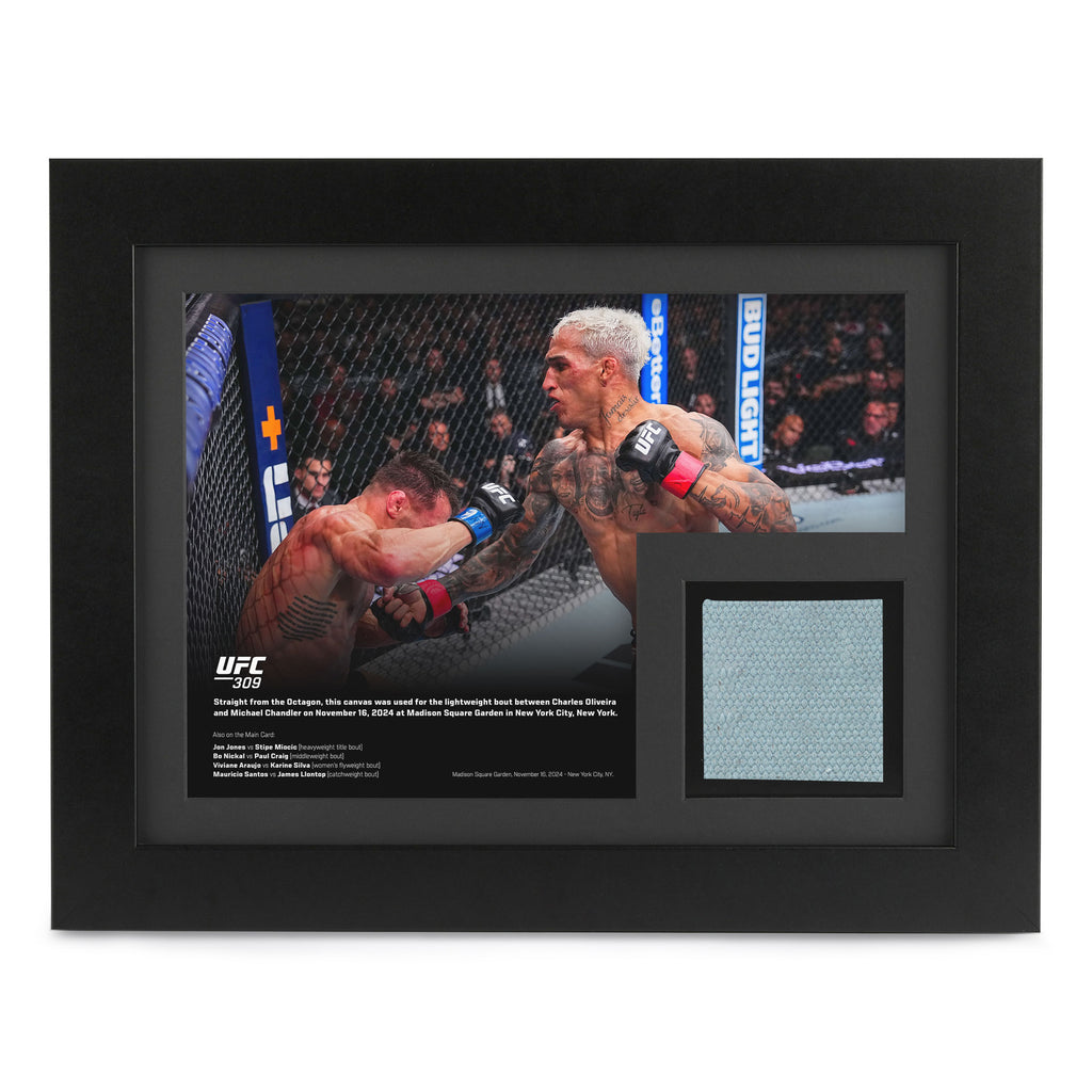 UFC 309: Oliveira vs Chandler 2 Canvas & Photo