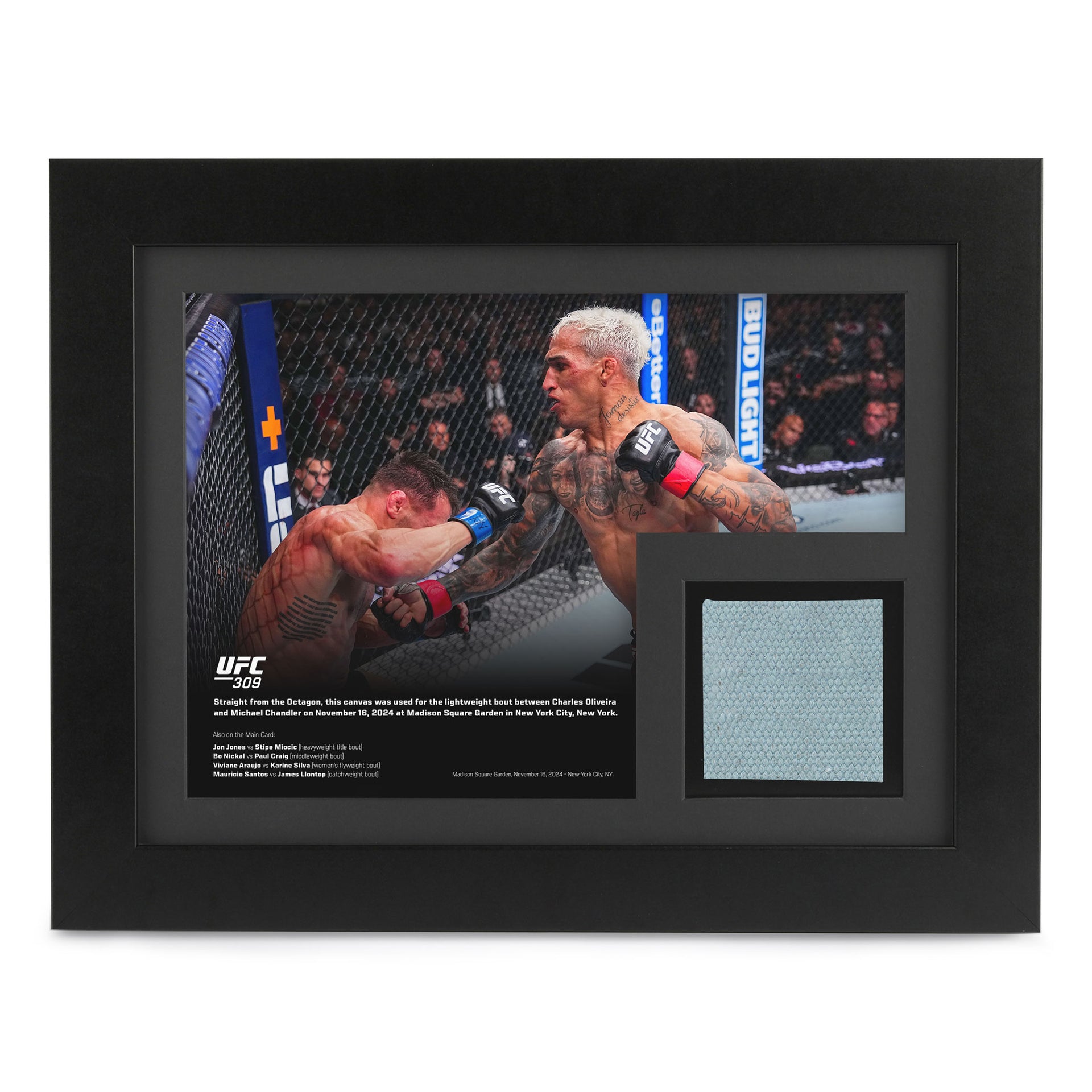 UFC 309: Oliveira vs Chandler 2 Canvas & Photo