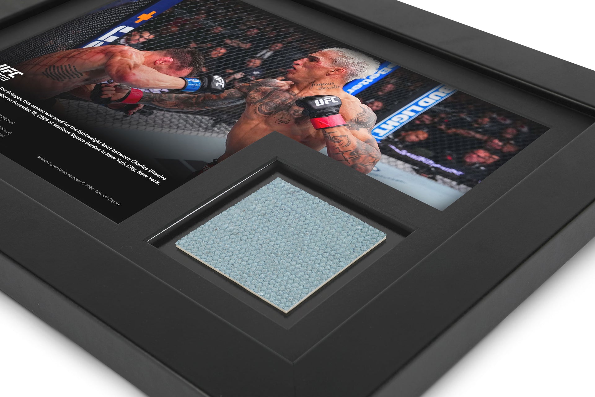 UFC 309: Oliveira vs Chandler 2 Canvas & Photo