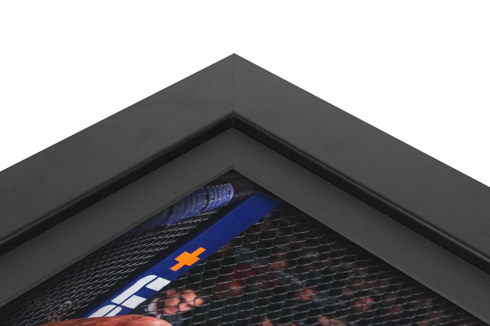 UFC 309: Oliveira vs Chandler 2 Canvas & Photo