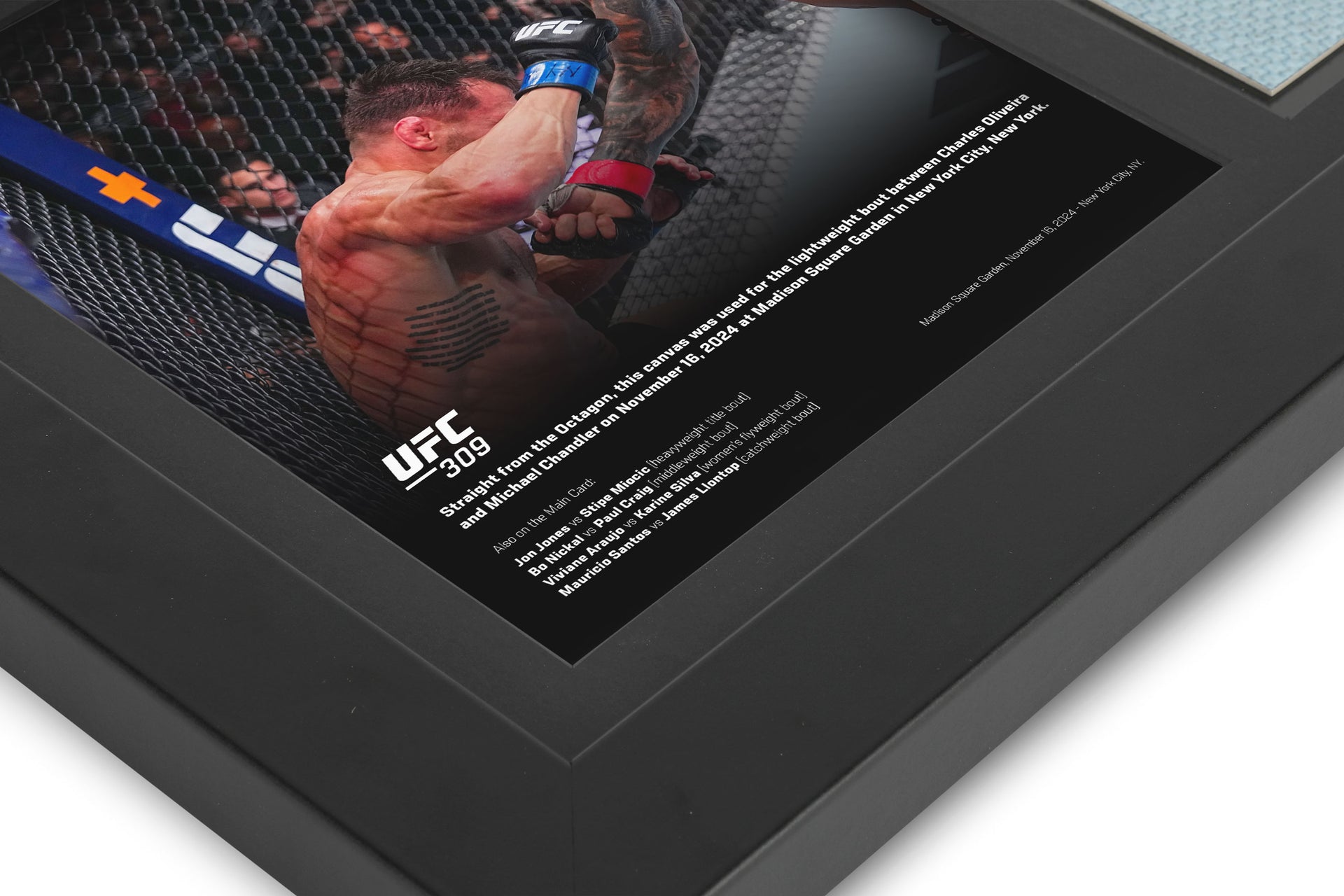 UFC 309: Oliveira vs Chandler 2 Canvas & Photo