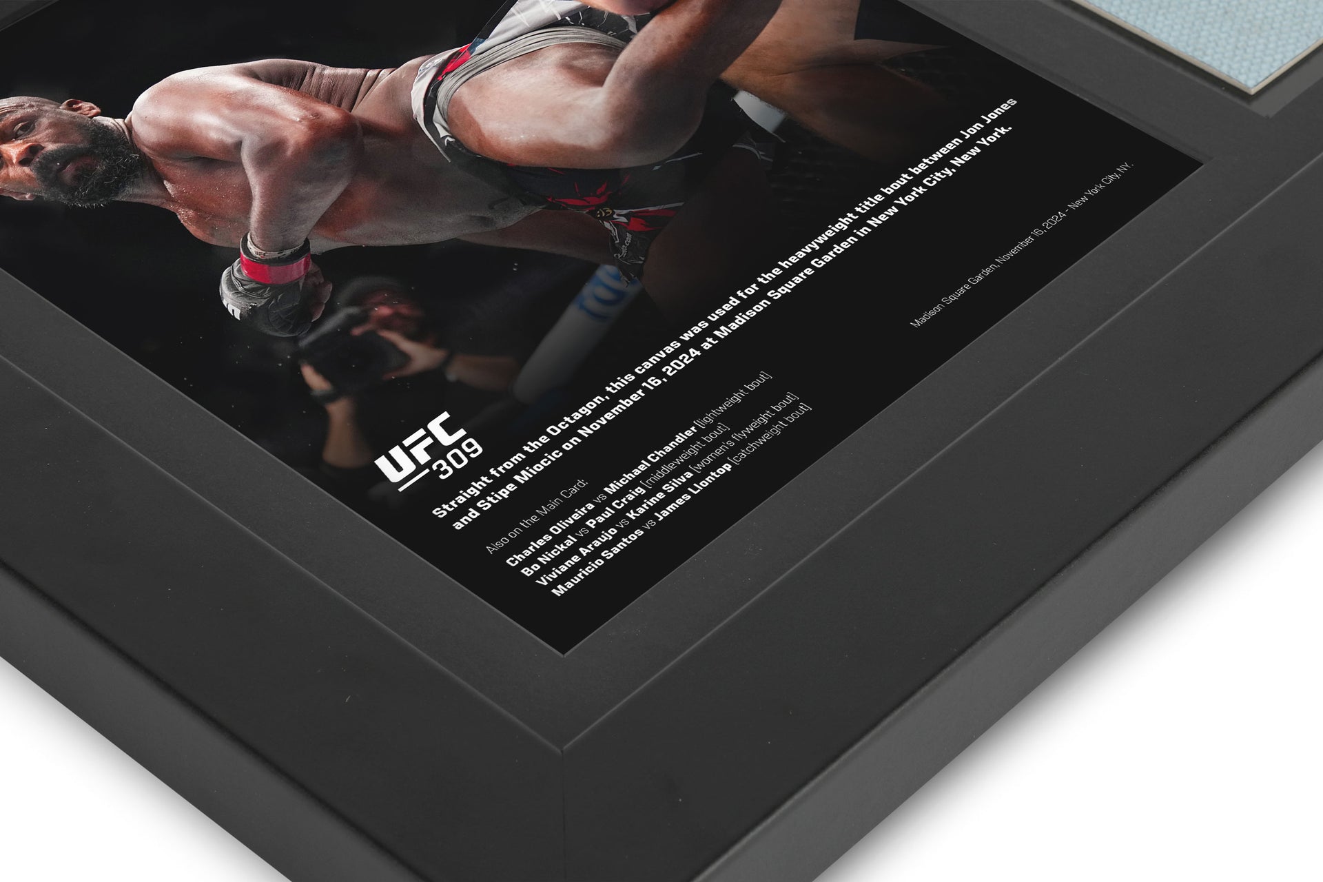 UFC 309: Jones vs Miocic Canvas & Photo