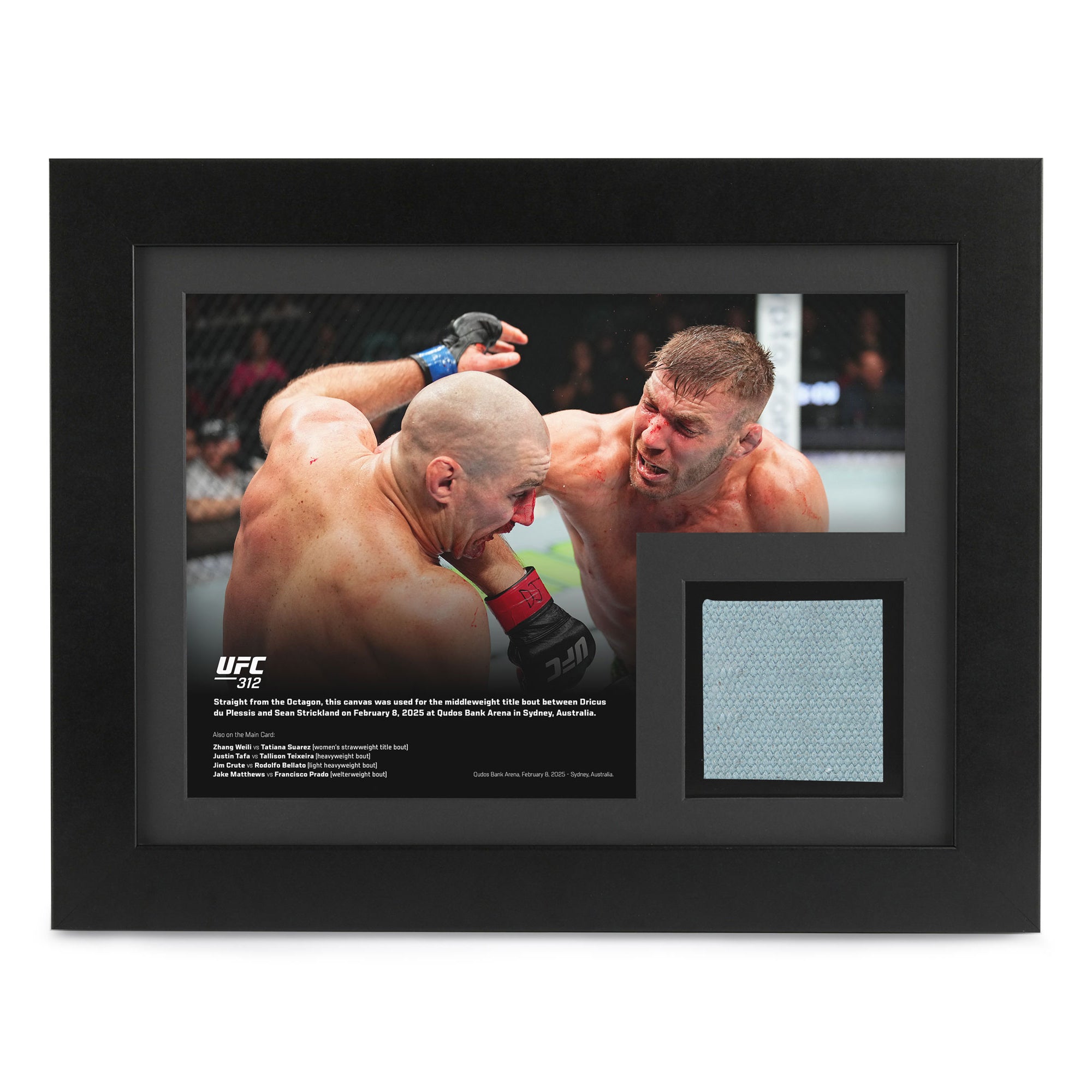 UFC 312: du Plessis vs Strickland 2 Canvas & Photo