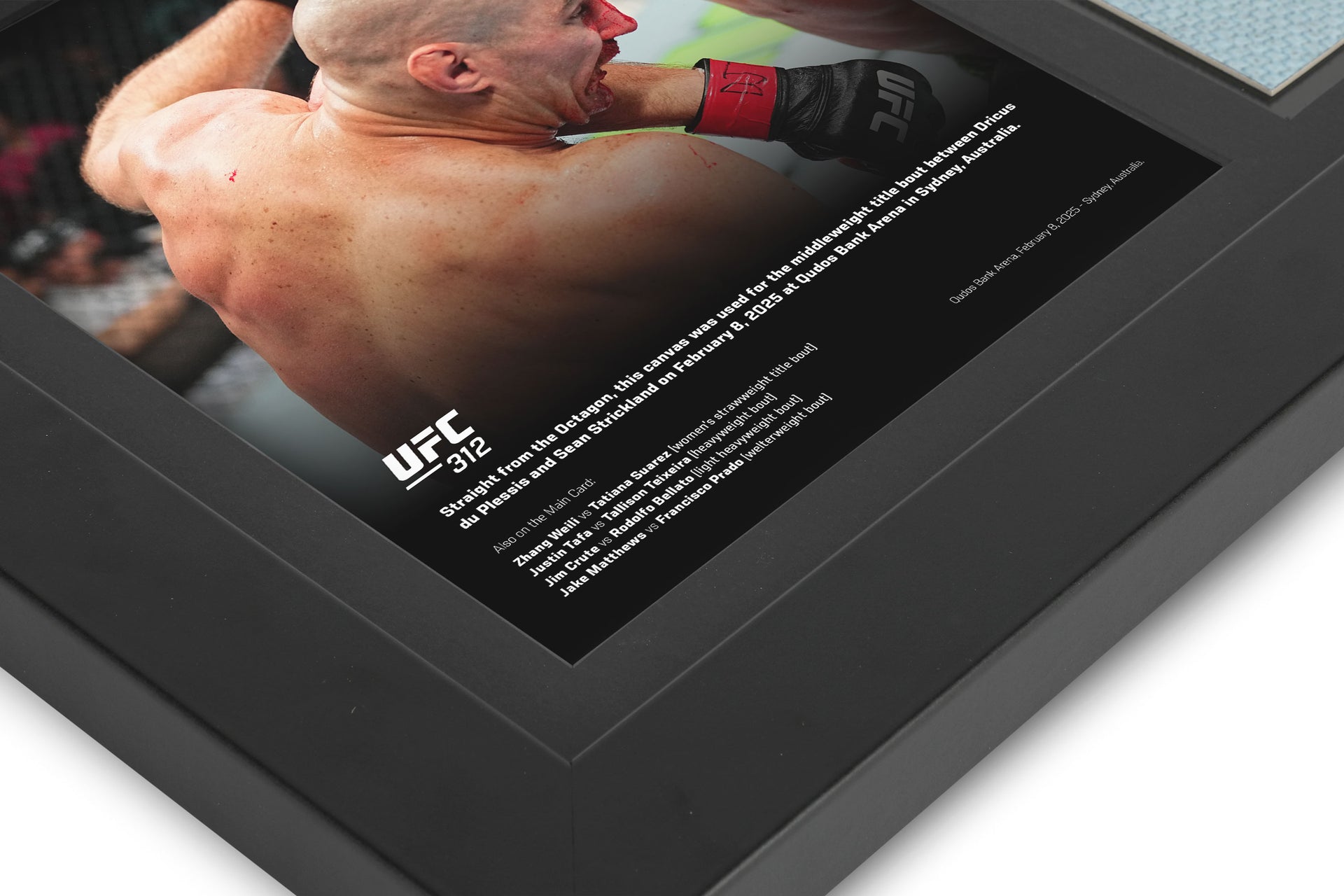 UFC 312: du Plessis vs Strickland 2 Canvas & Photo