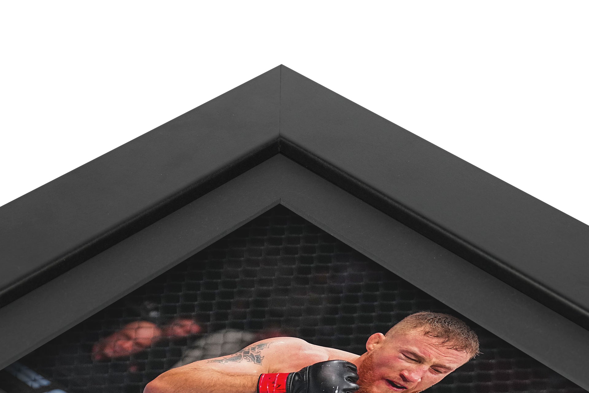 UFC 313: Gaethje vs Fiziev Canvas & Photo