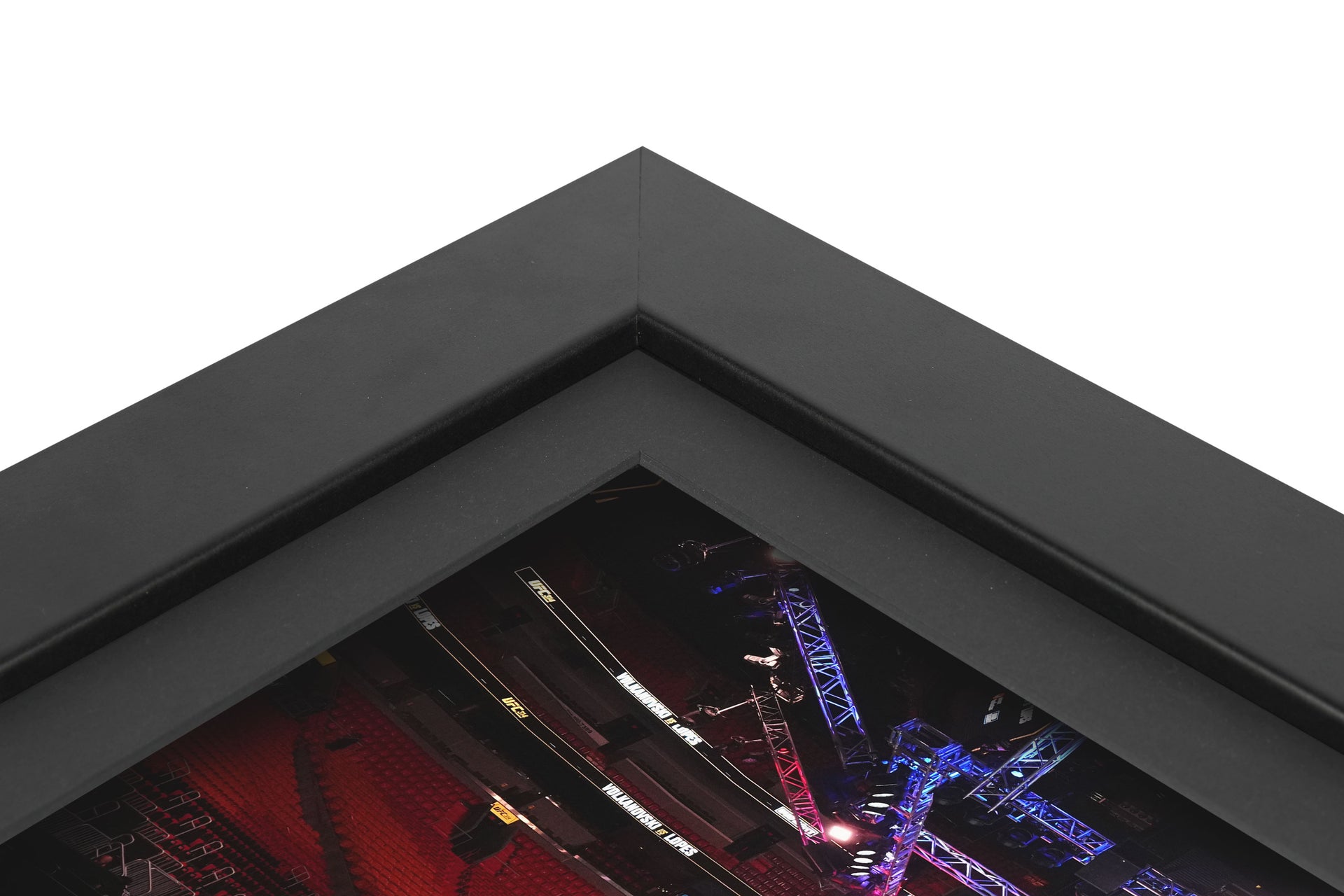 UFC 314: Volkanovski vs Lopes Canvas & Photo - Octagon