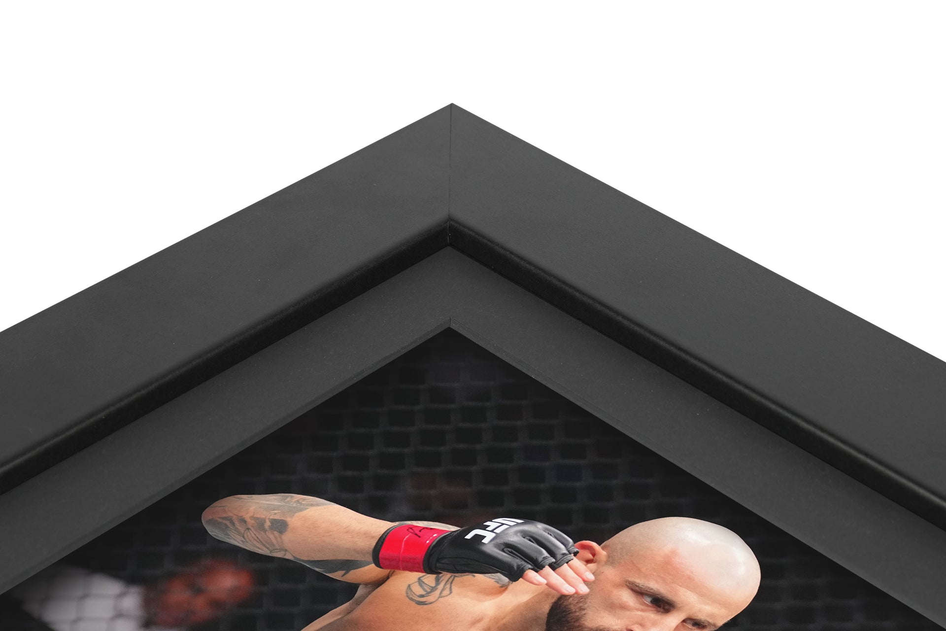 UFC 314: Volkanovski vs Lopes Canvas & Photo