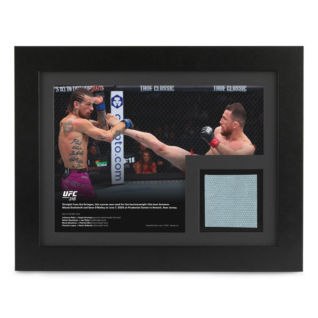 UFC 316: Dvalishvili vs O’Malley 2 Canvas & Photo