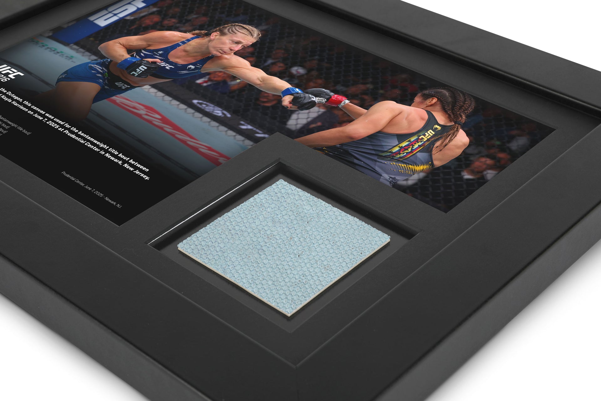 UFC 316: Julianna Peña vs Kayla Harrison Canvas & Photo