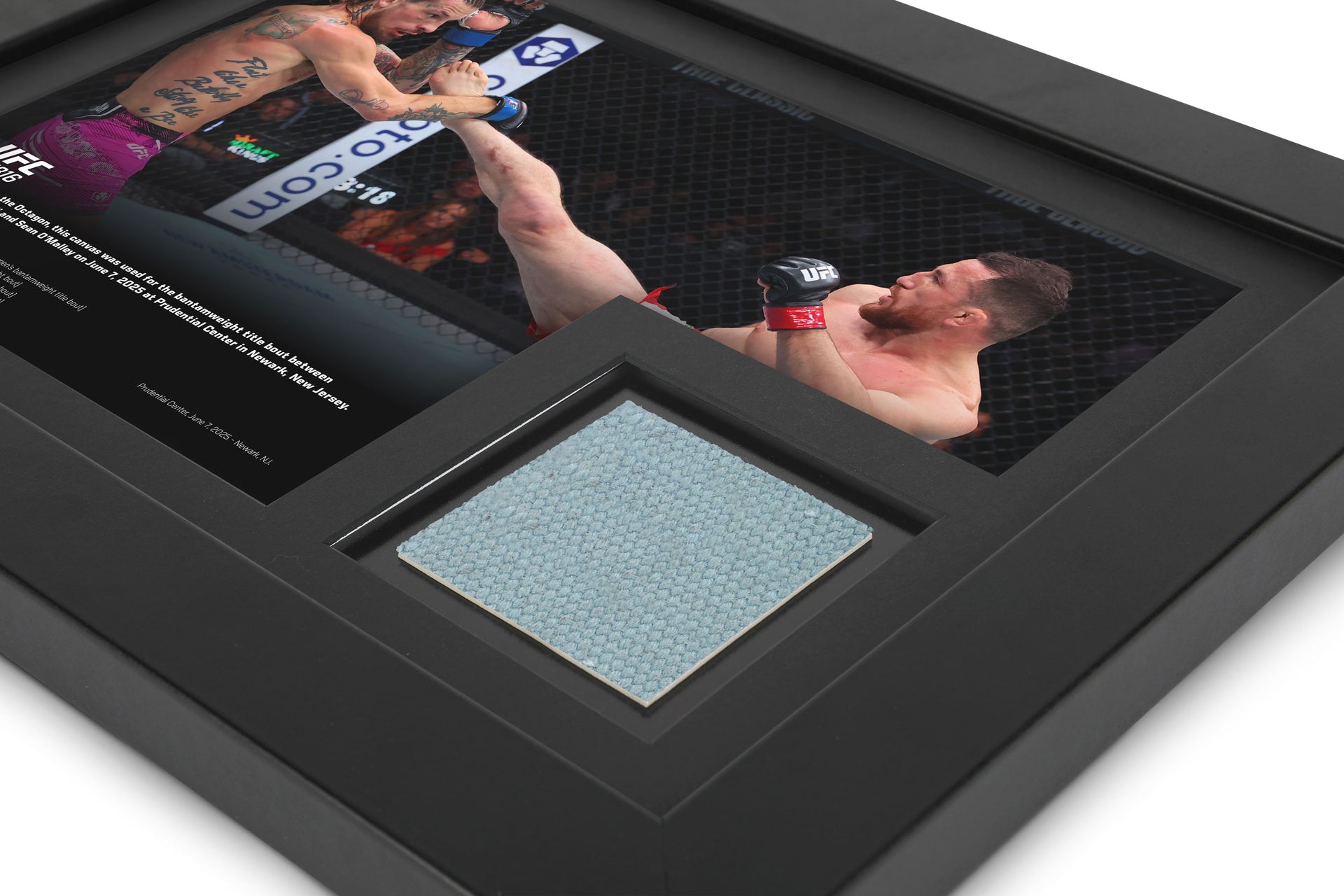 UFC 316: Dvalishvili vs O’Malley 2 Canvas & Photo