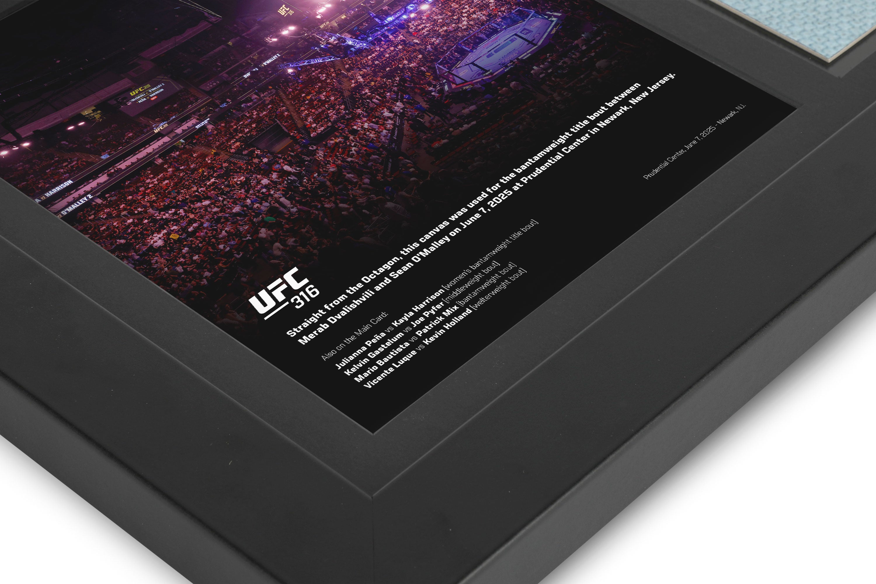 UFC 316: Dvalishvili vs O’Malley 2 Canvas & Photo - Octagon