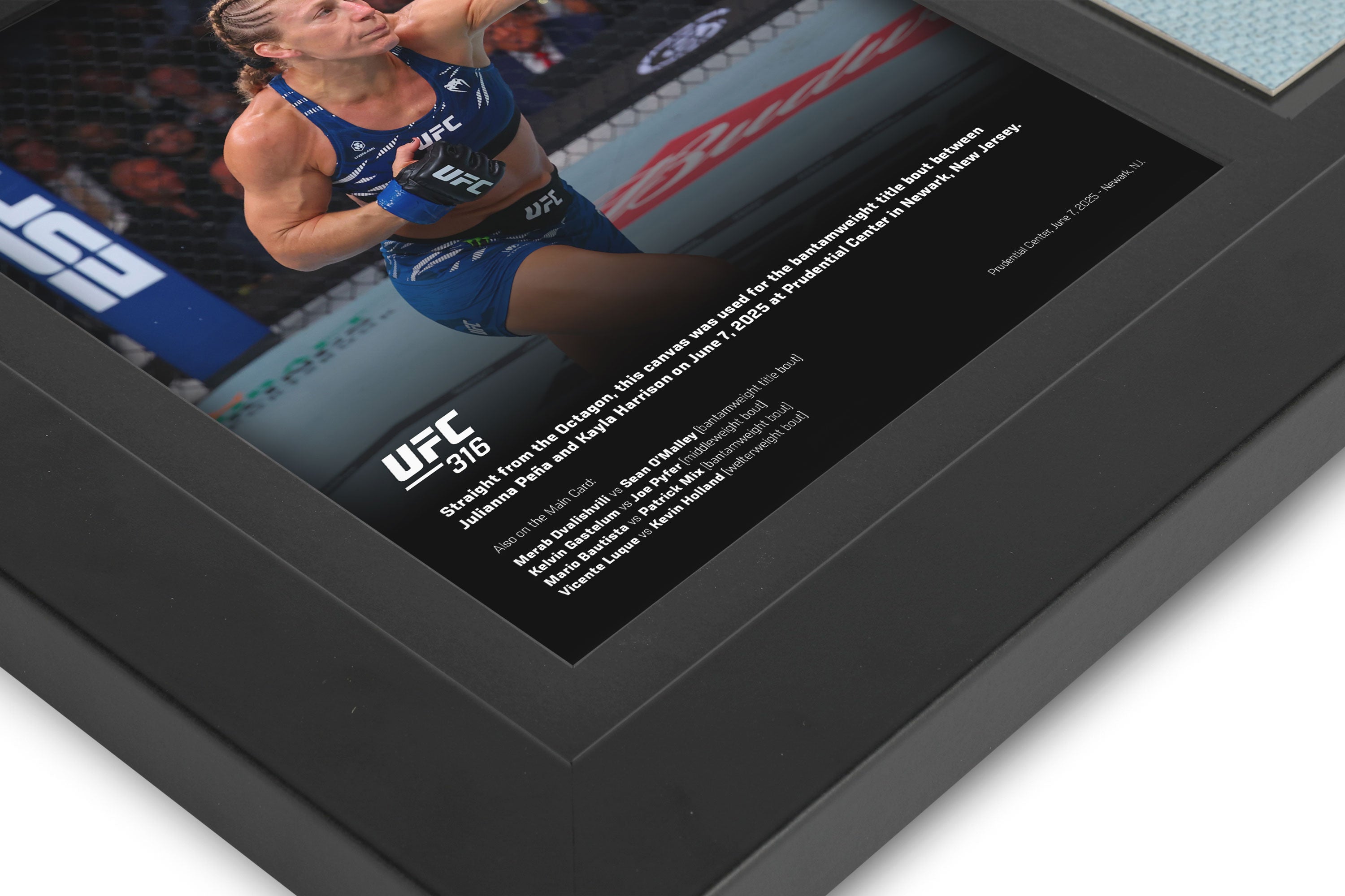 UFC 316: Julianna Peña vs Kayla Harrison Canvas & Photo