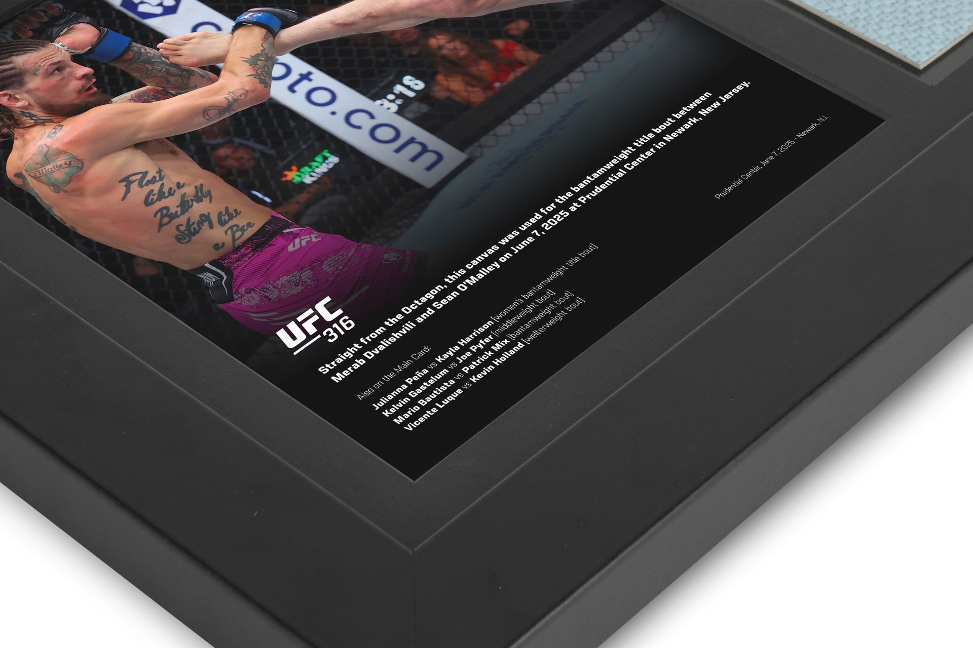 UFC 316: Dvalishvili vs O’Malley 2 Canvas & Photo