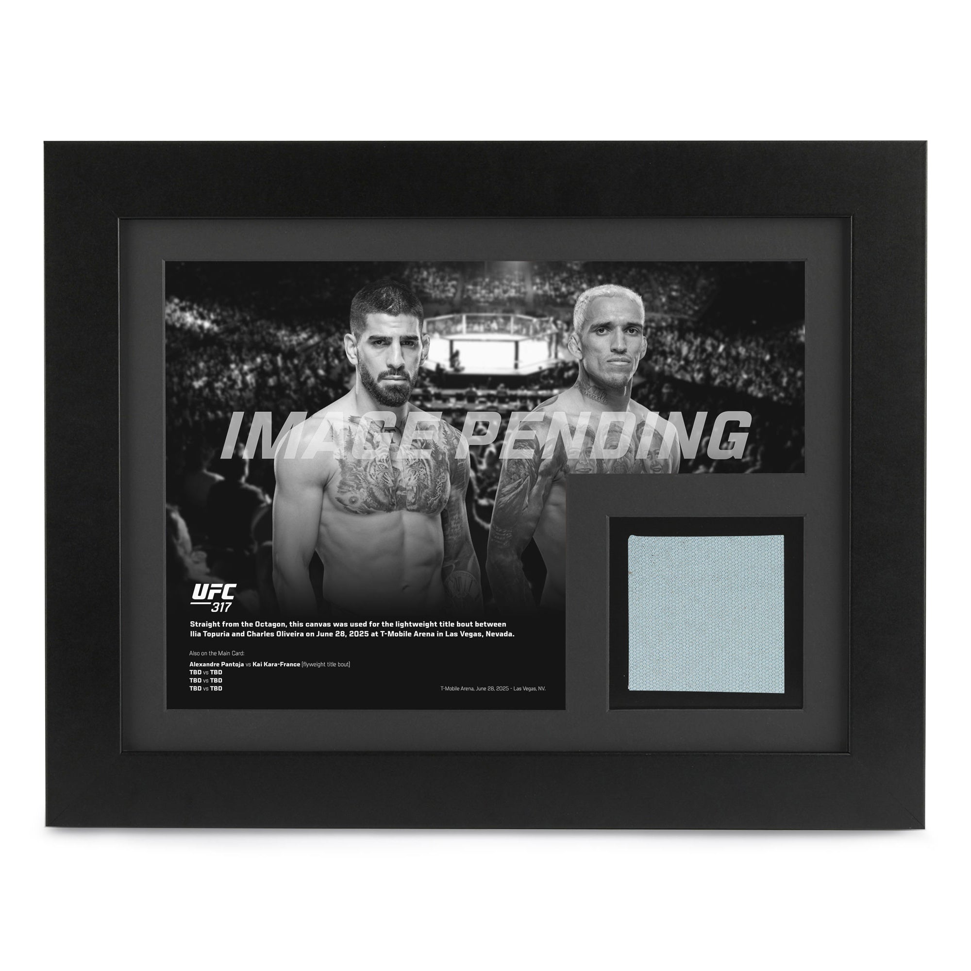 UFC 317: Topuria vs Oliveira Canvas & Photo
