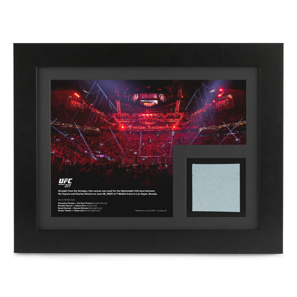 UFC 317: Topuria vs Oliveira Canvas & Photo – Octagon