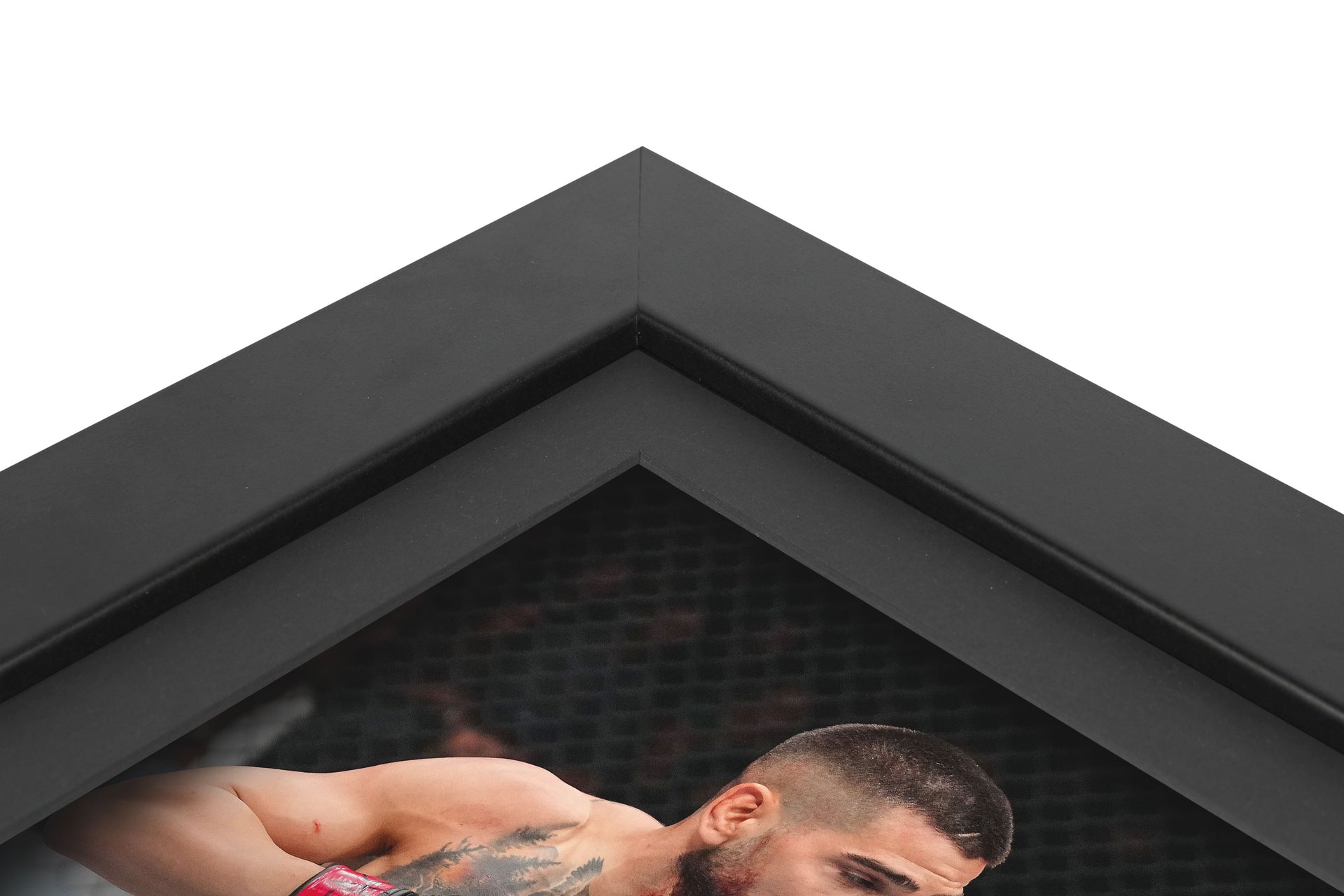 UFC 317: Topuria vs Oliveira Canvas & Photo