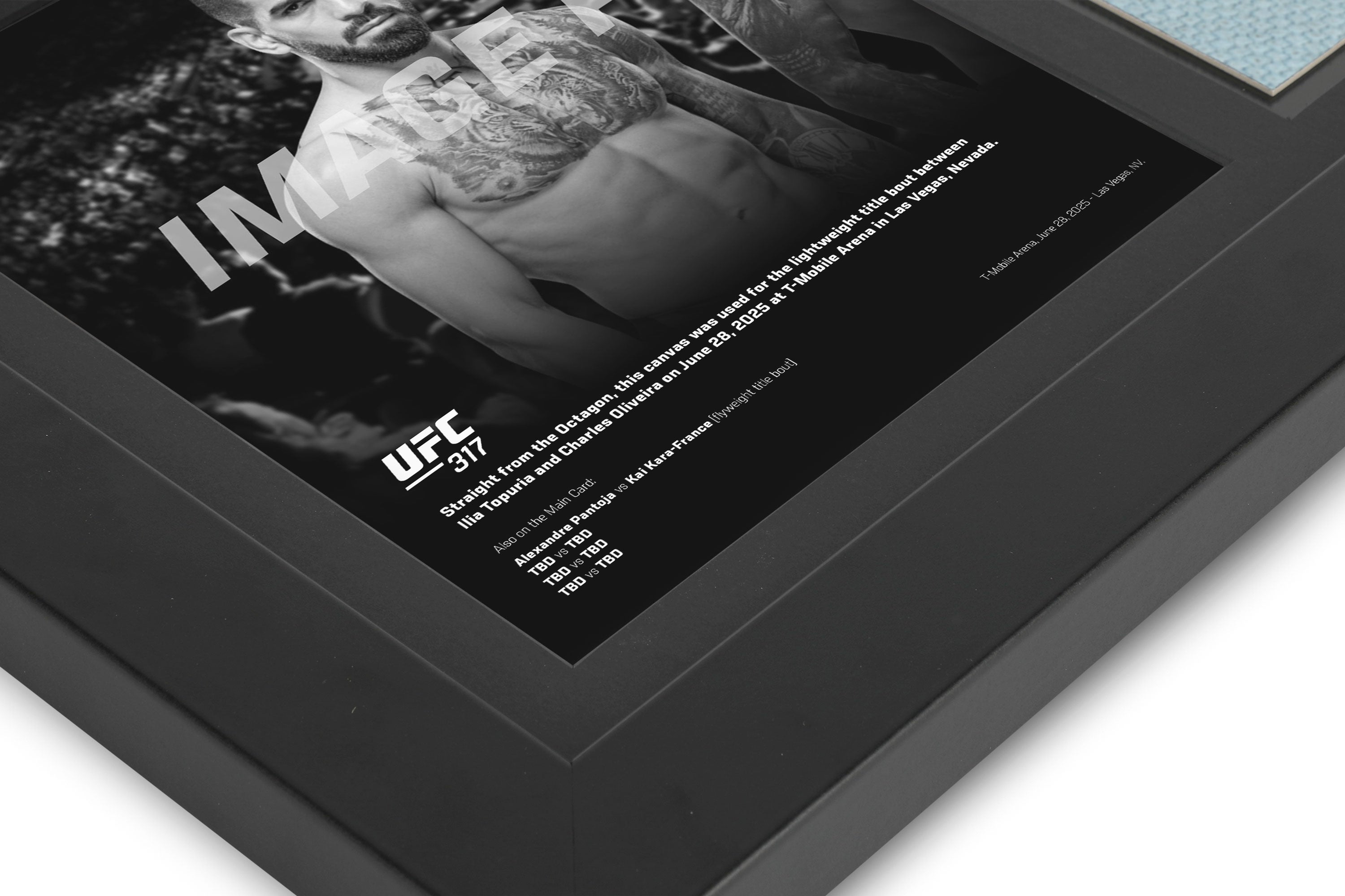UFC 317: Topuria vs Oliveira Canvas & Photo