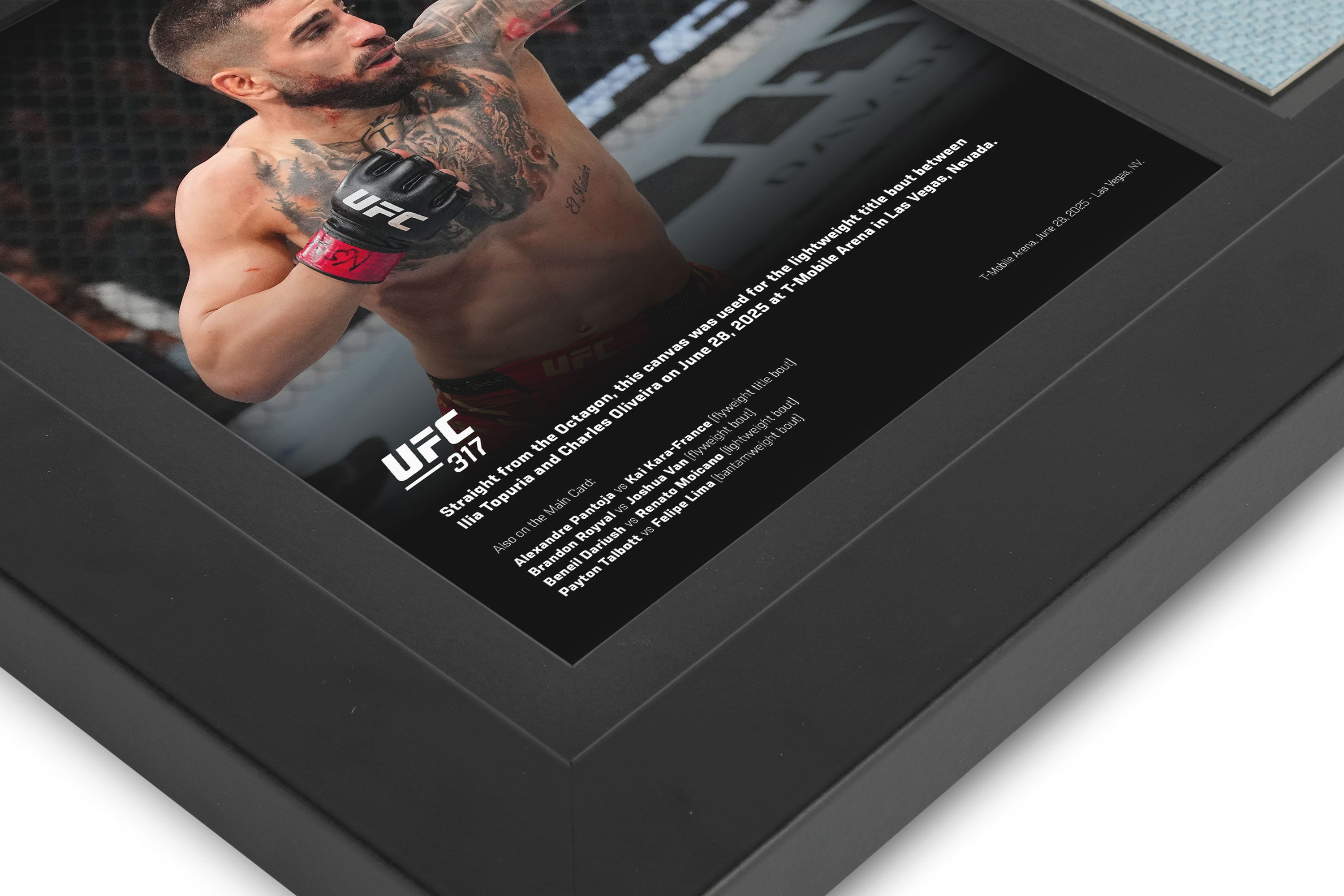 UFC 317: Topuria vs Oliveira Canvas & Photo