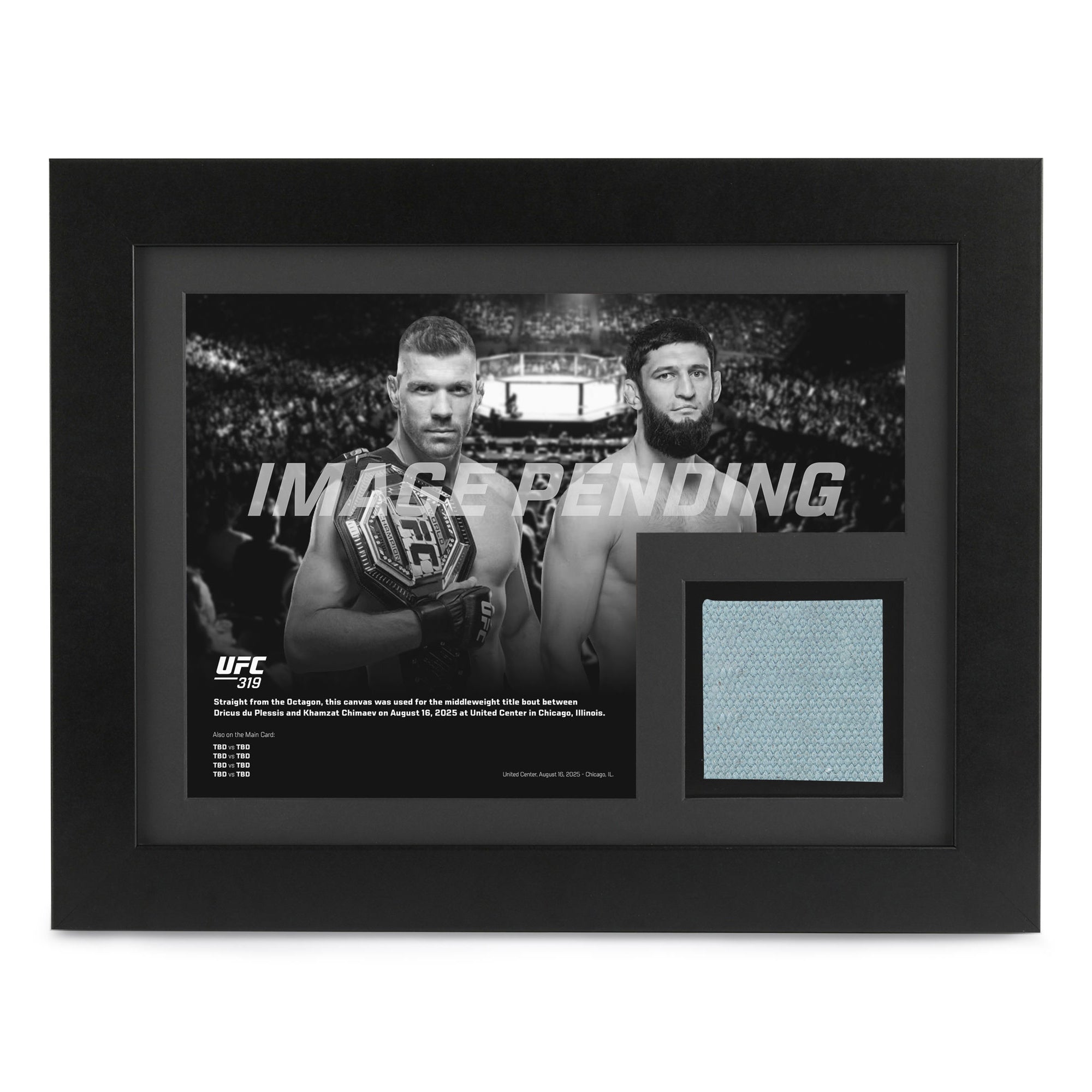 UFC 319: du Plessis vs Chimaev Canvas & Photo