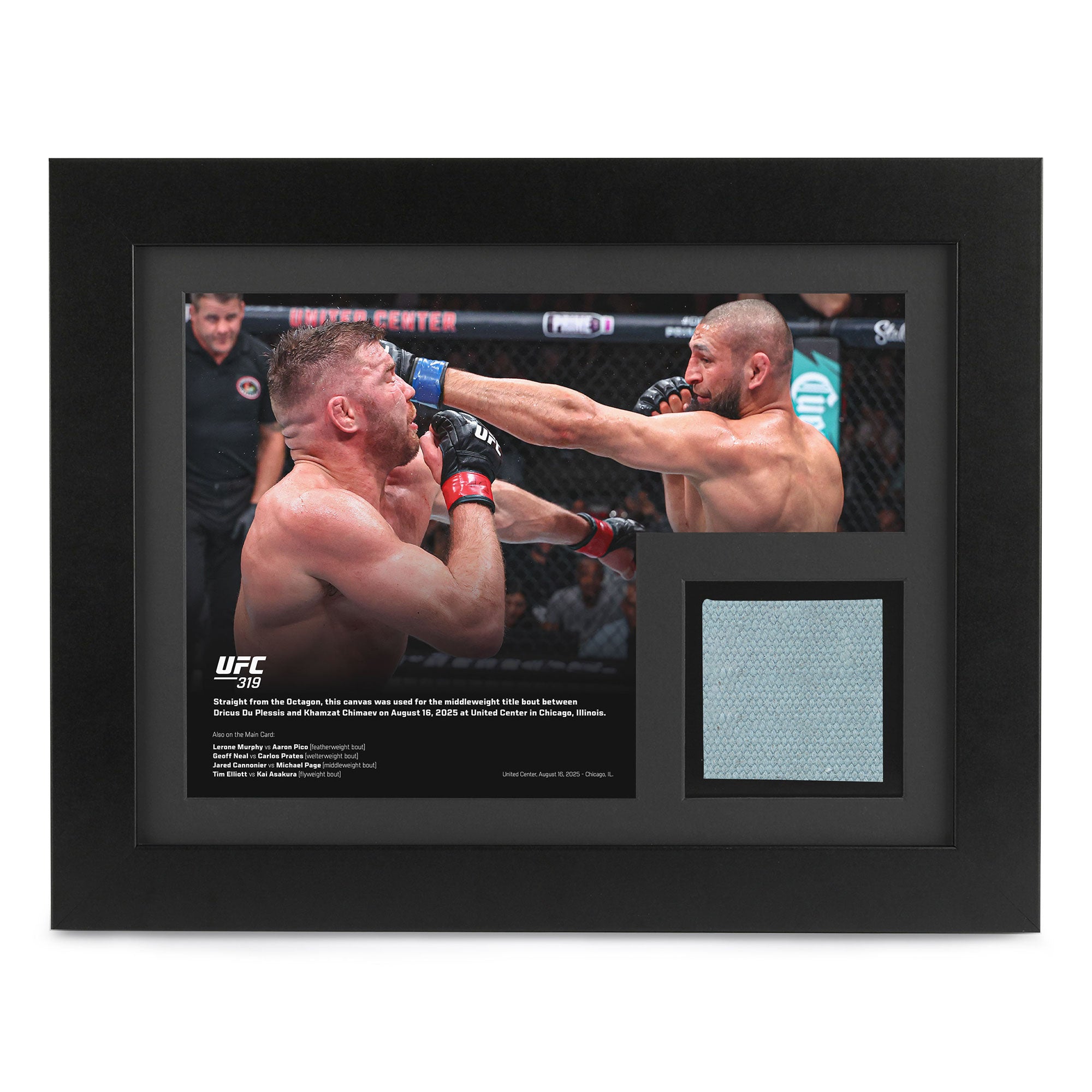 UFC 319: du Plessis vs Chimaev Canvas & Photo