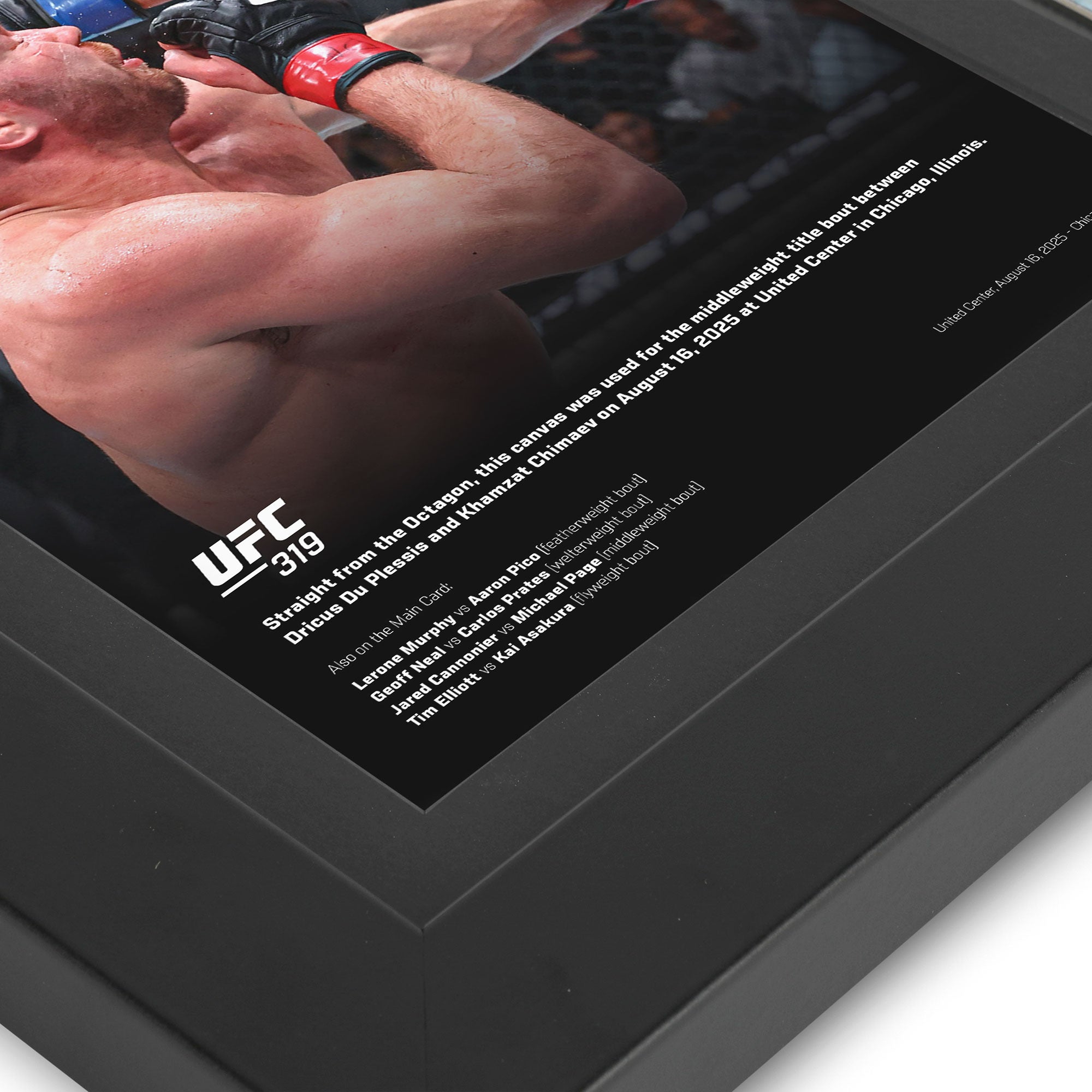 UFC 319: du Plessis vs Chimaev Canvas & Photo