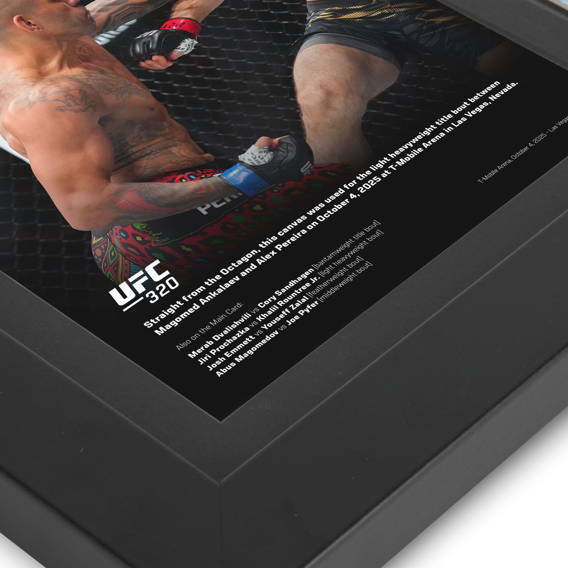UFC 320 Ankalaev vs Pereira 2 Canvas & Photo