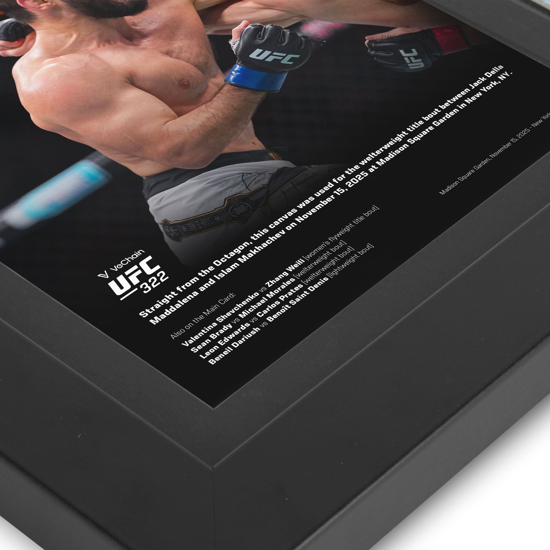 VeChain UFC 322: Della Maddalena vs Makhachev Canvas & Photo