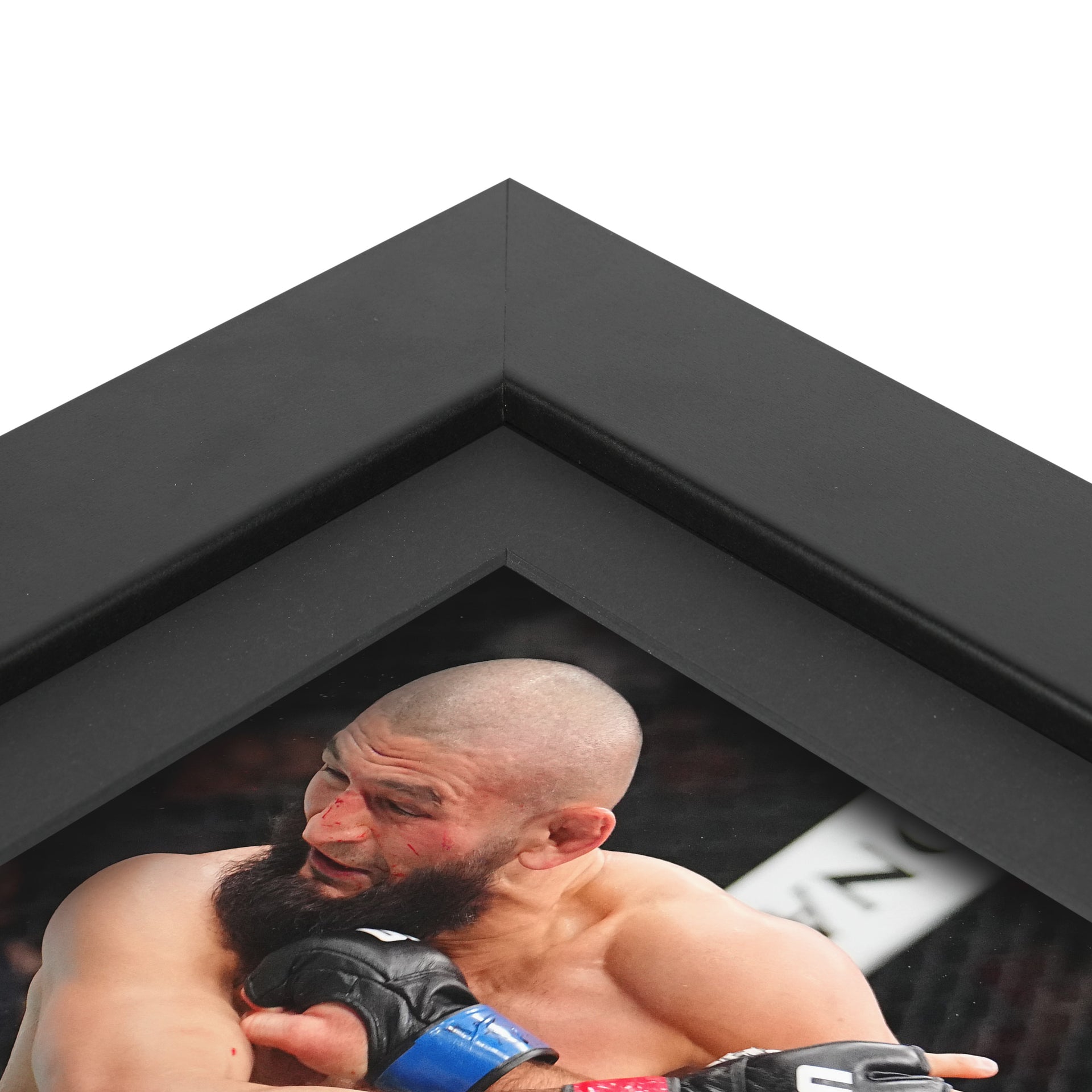 UFC 328: Chimaev vs Strickland Canvas & Photo