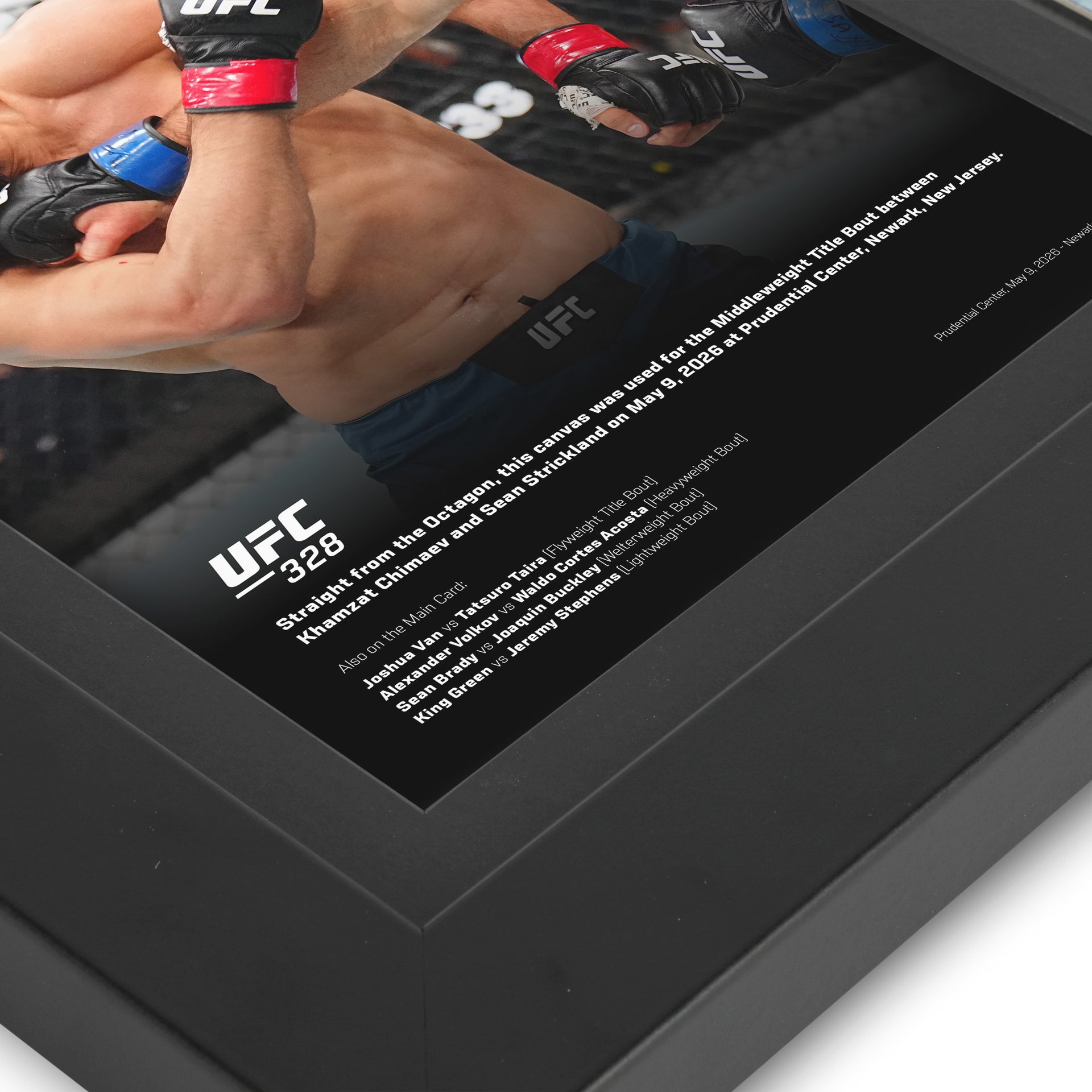 UFC 328: Chimaev vs Strickland Canvas & Photo