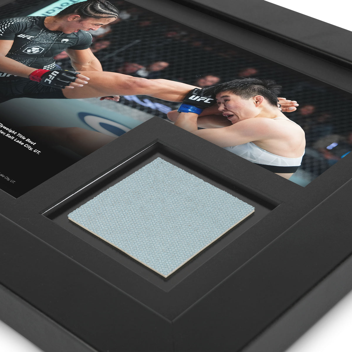 UFC 332 Silva vs Wang Canvas & Photo