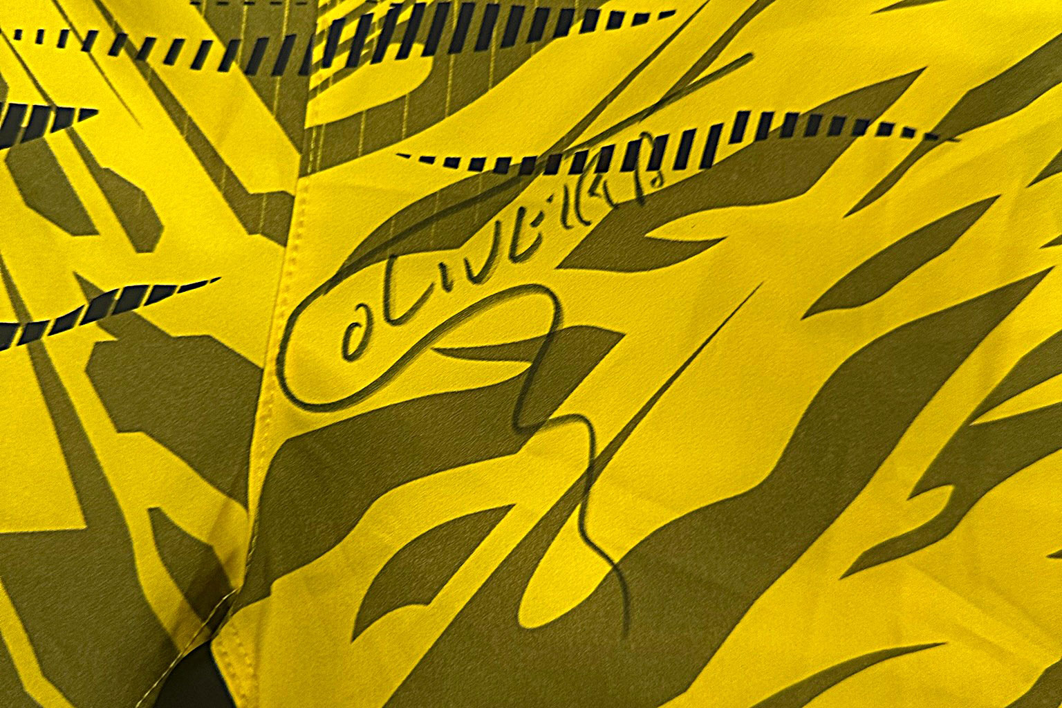 Charles Oliveira Signed UFC Fusion Venum Shorts