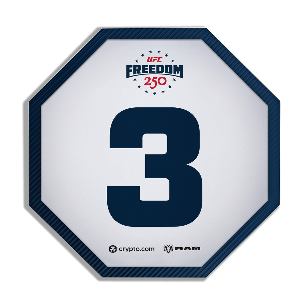 UFC Freedom 250: Topuria vs Gaethje Event Used Round Card Three